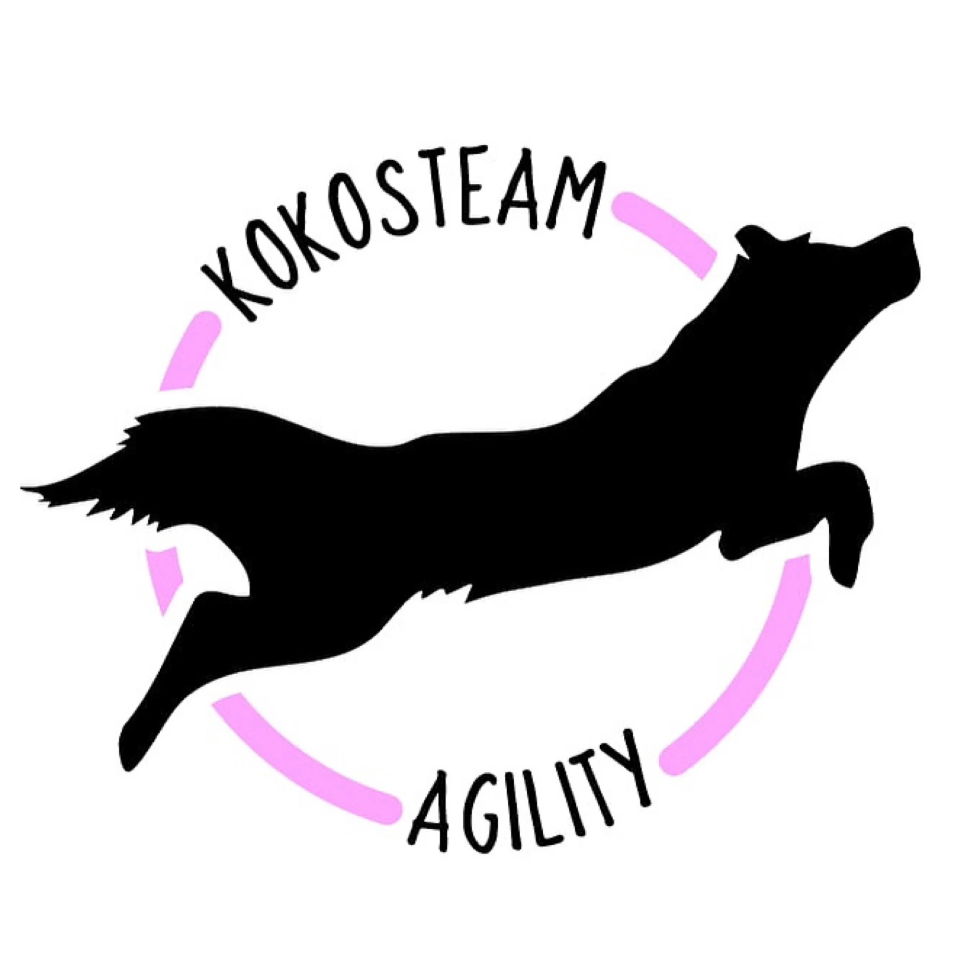 Logo klubu Kokosteam