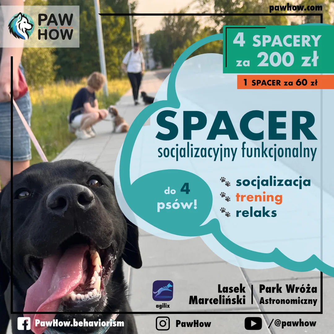 Spacer socjalizacyjny funkcjonalny Poznań