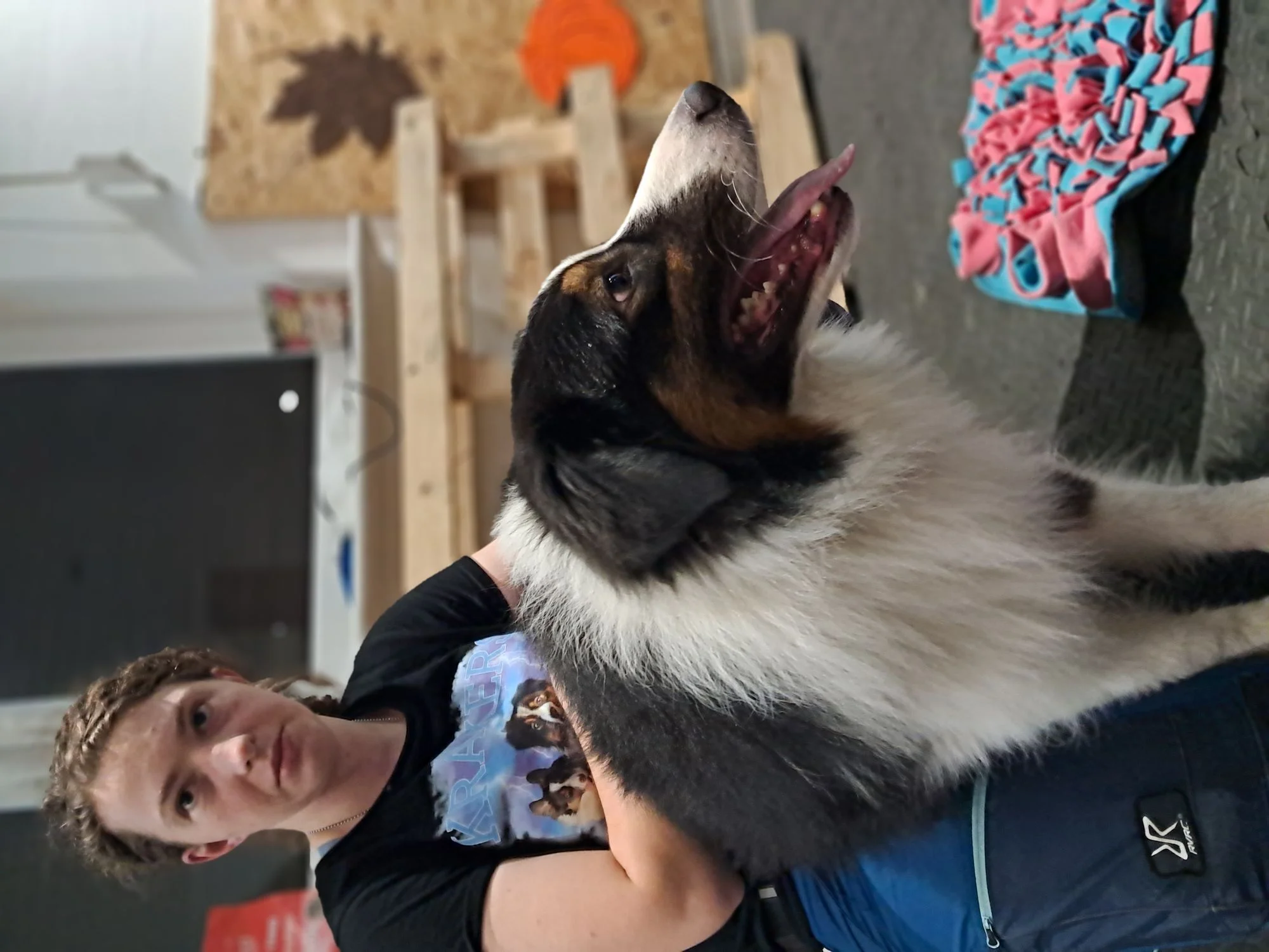 Zdjęcie klubu PIESkownica Poznań