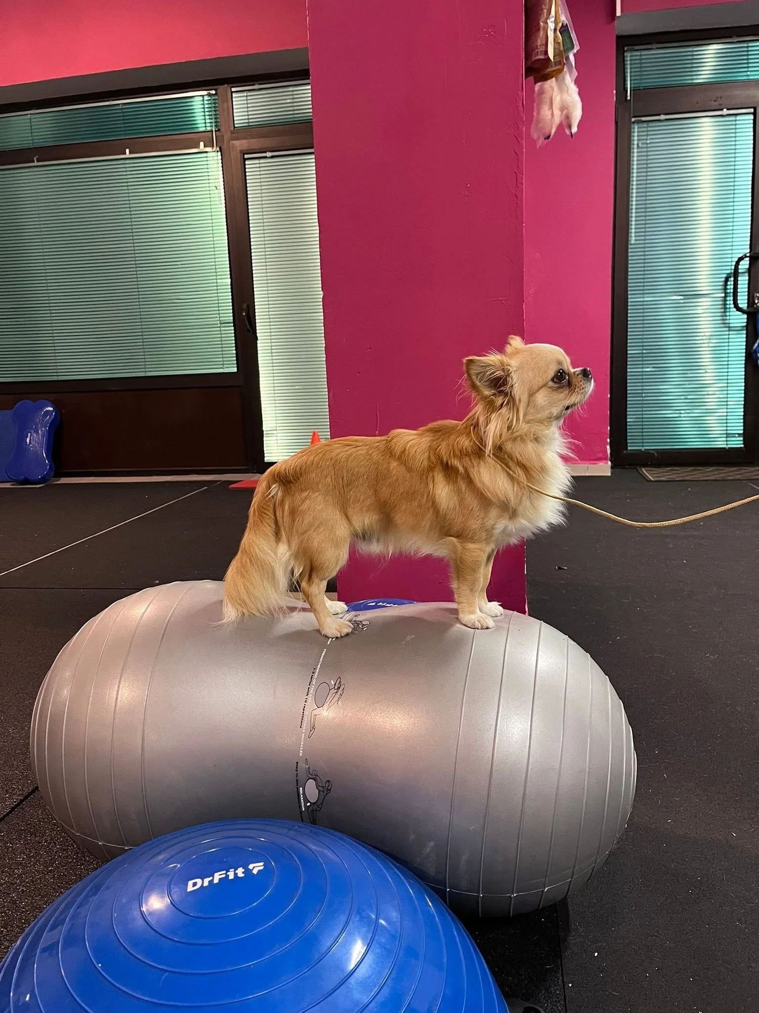 Zdjęcie klubu PSAlka