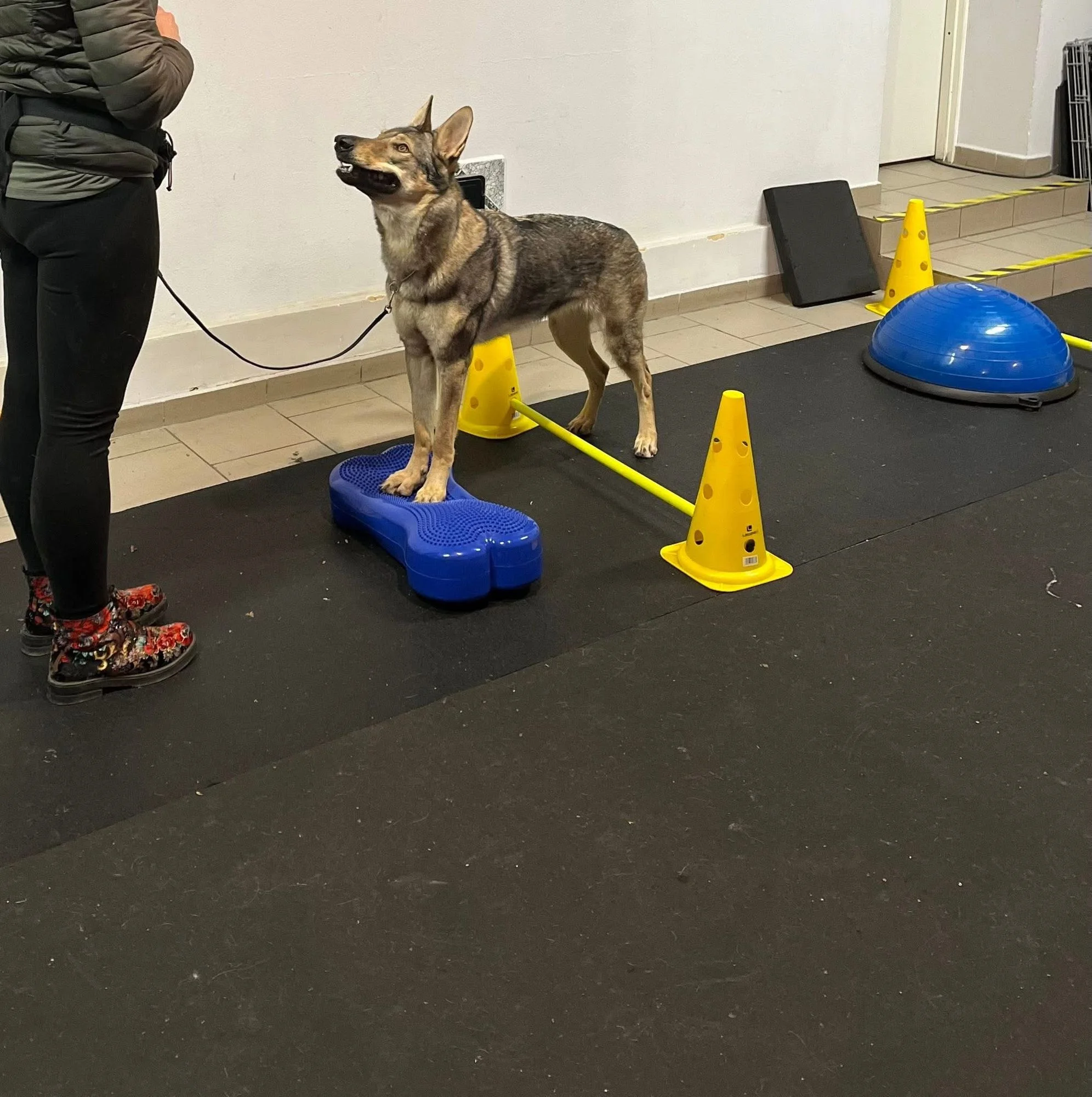 Zdjęcie klubu PSAlka