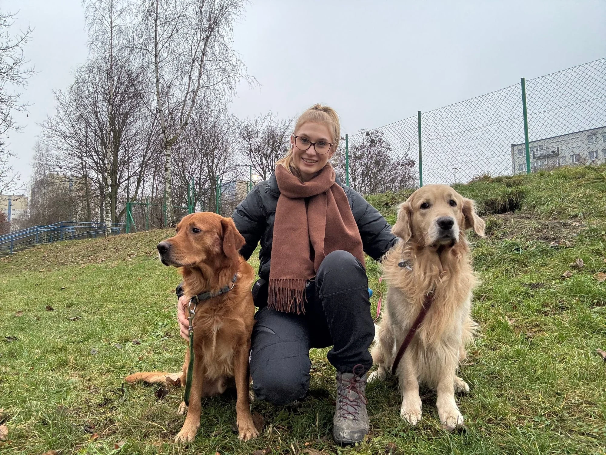 Zdjęcie klubu Złoty pies