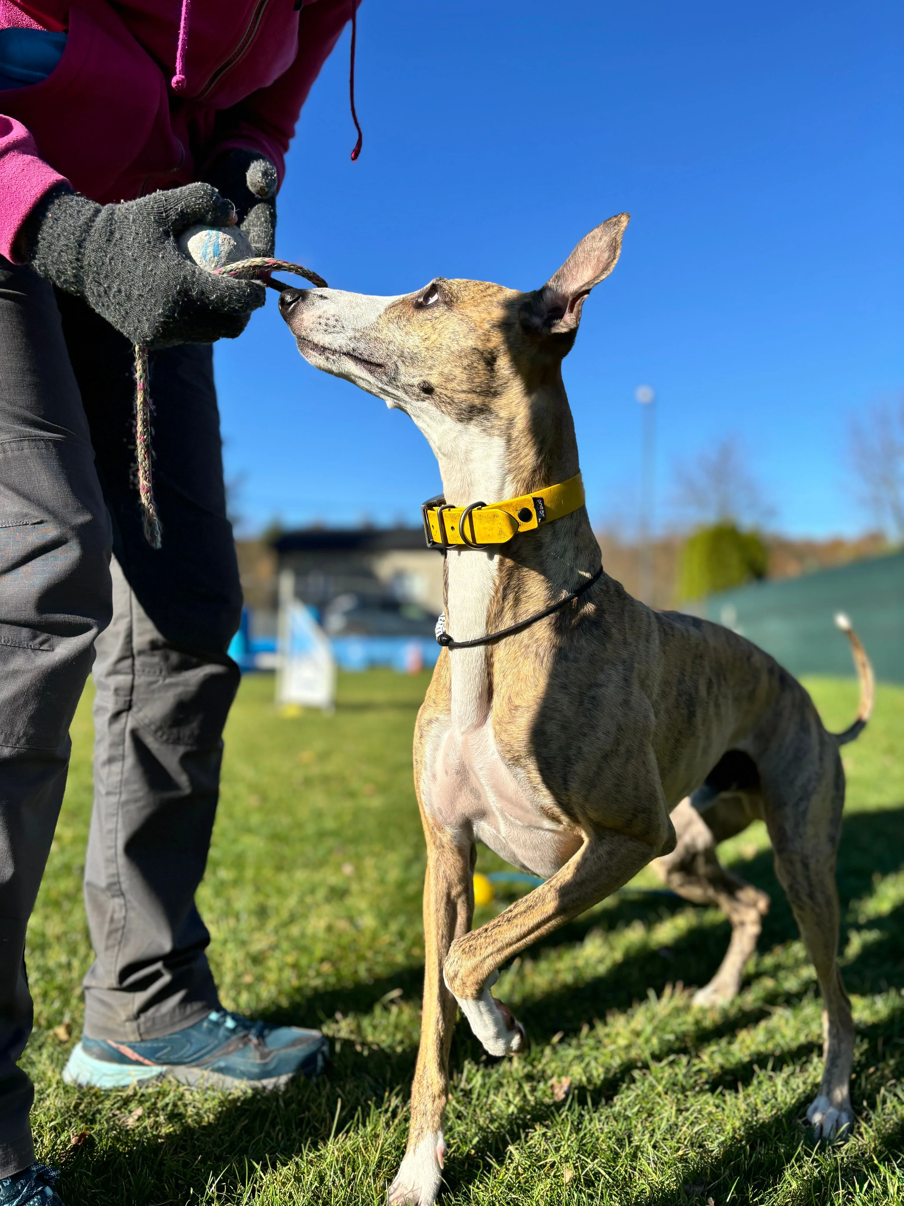 Zdjęcie klubu Winwinners