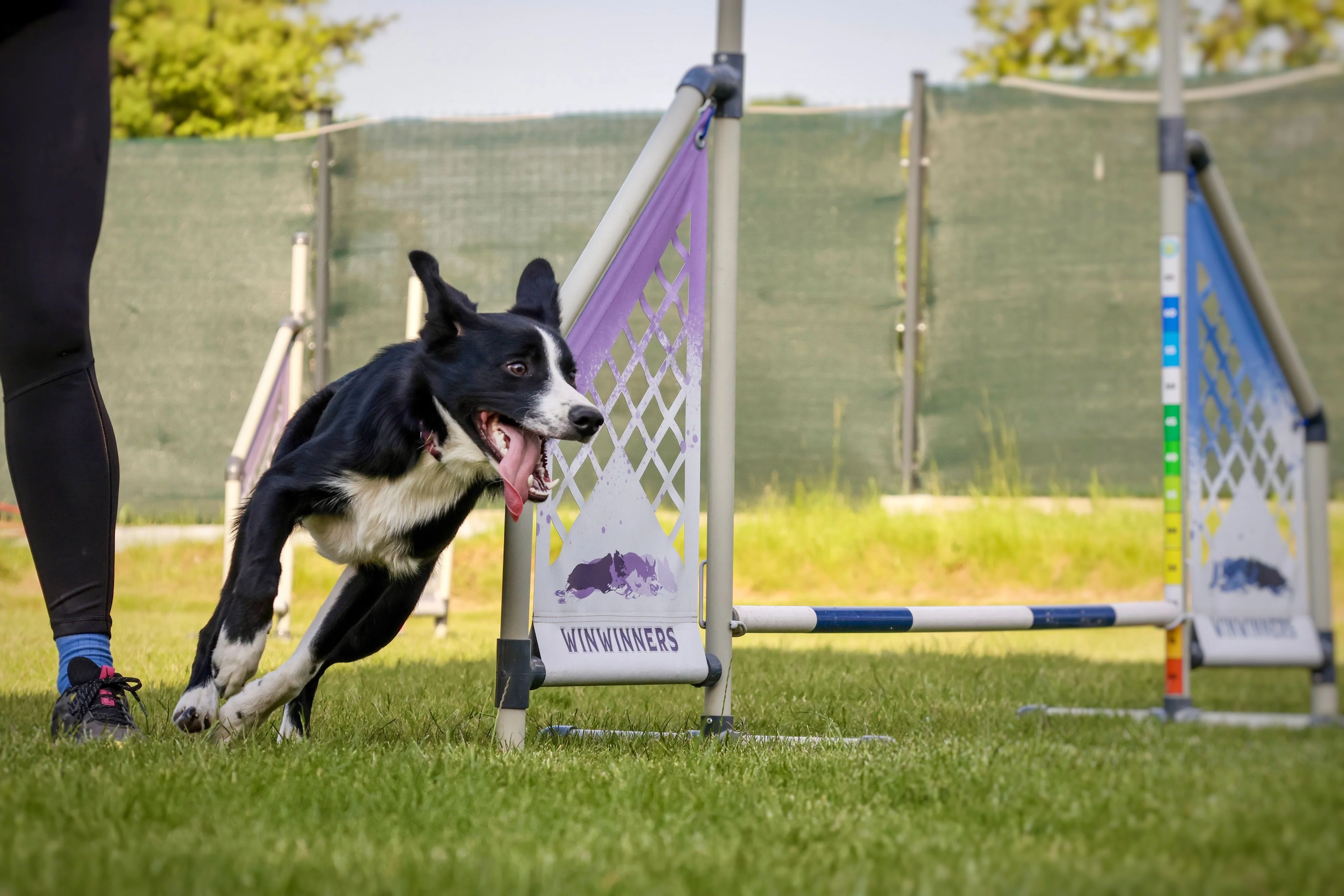 Zdjęcie klubu Winwinners