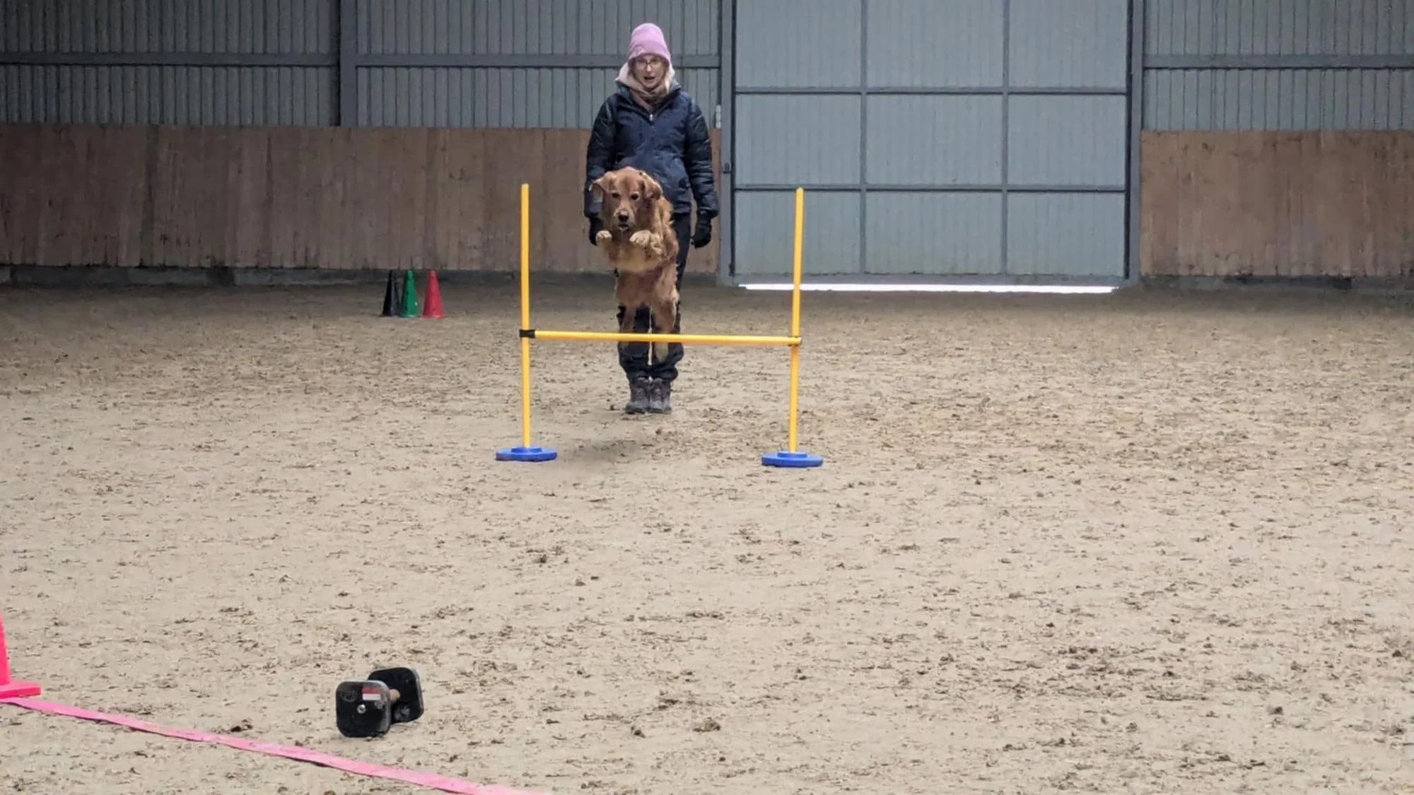 Zdjęcie klubu Złoty pies