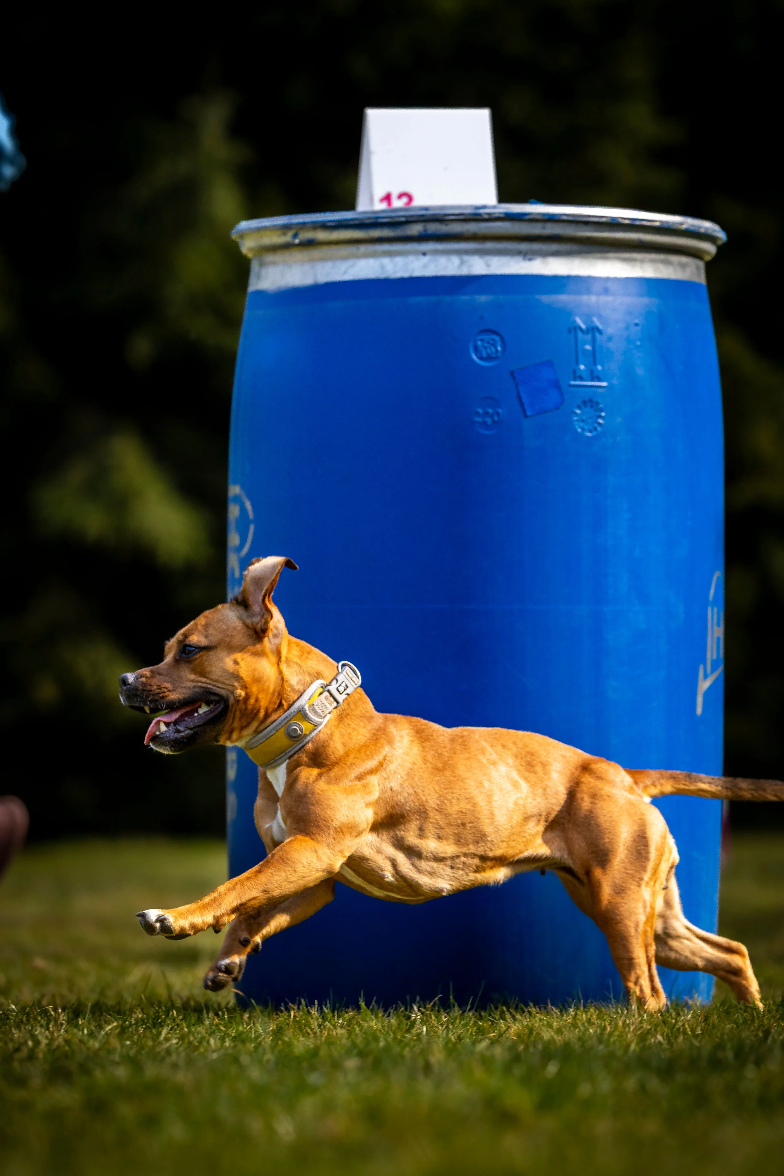 Zdjęcie klubu Hoopers Polska