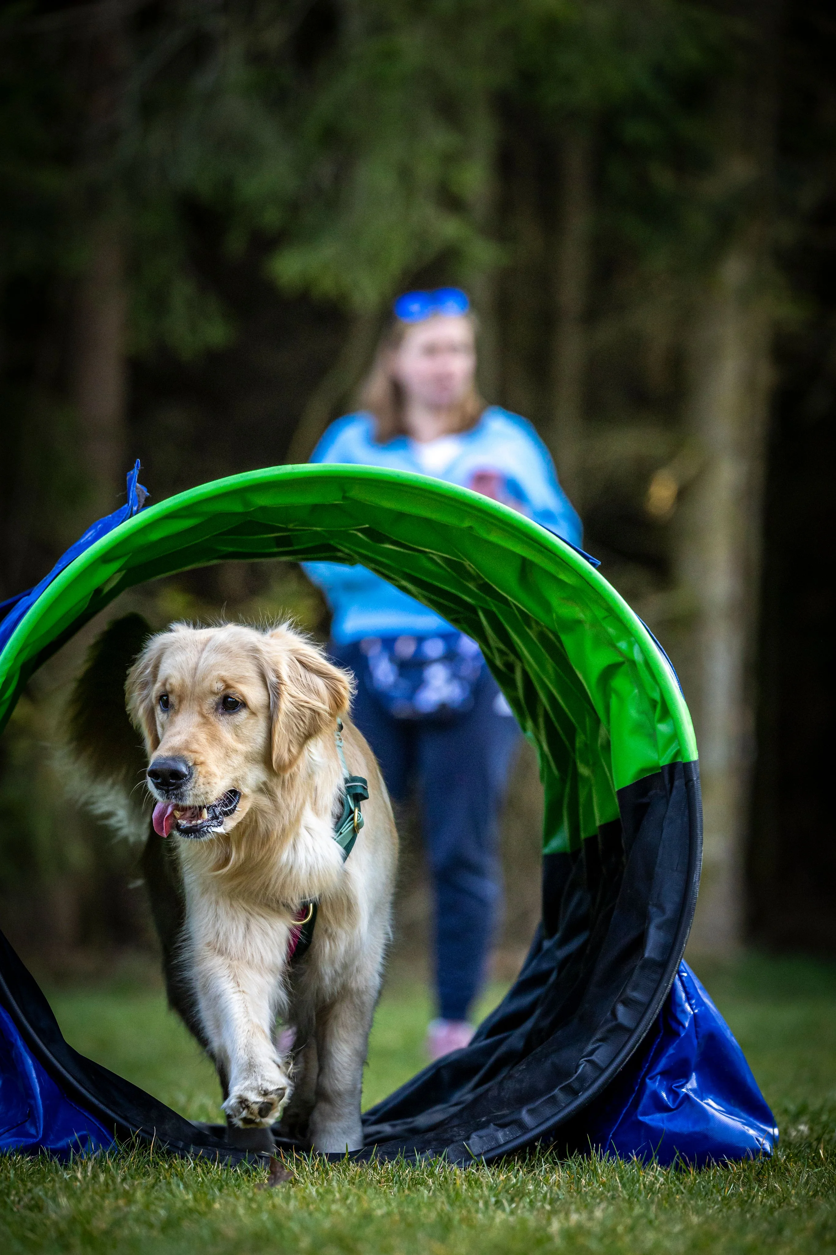 Zdjęcie klubu Hoopers Polska