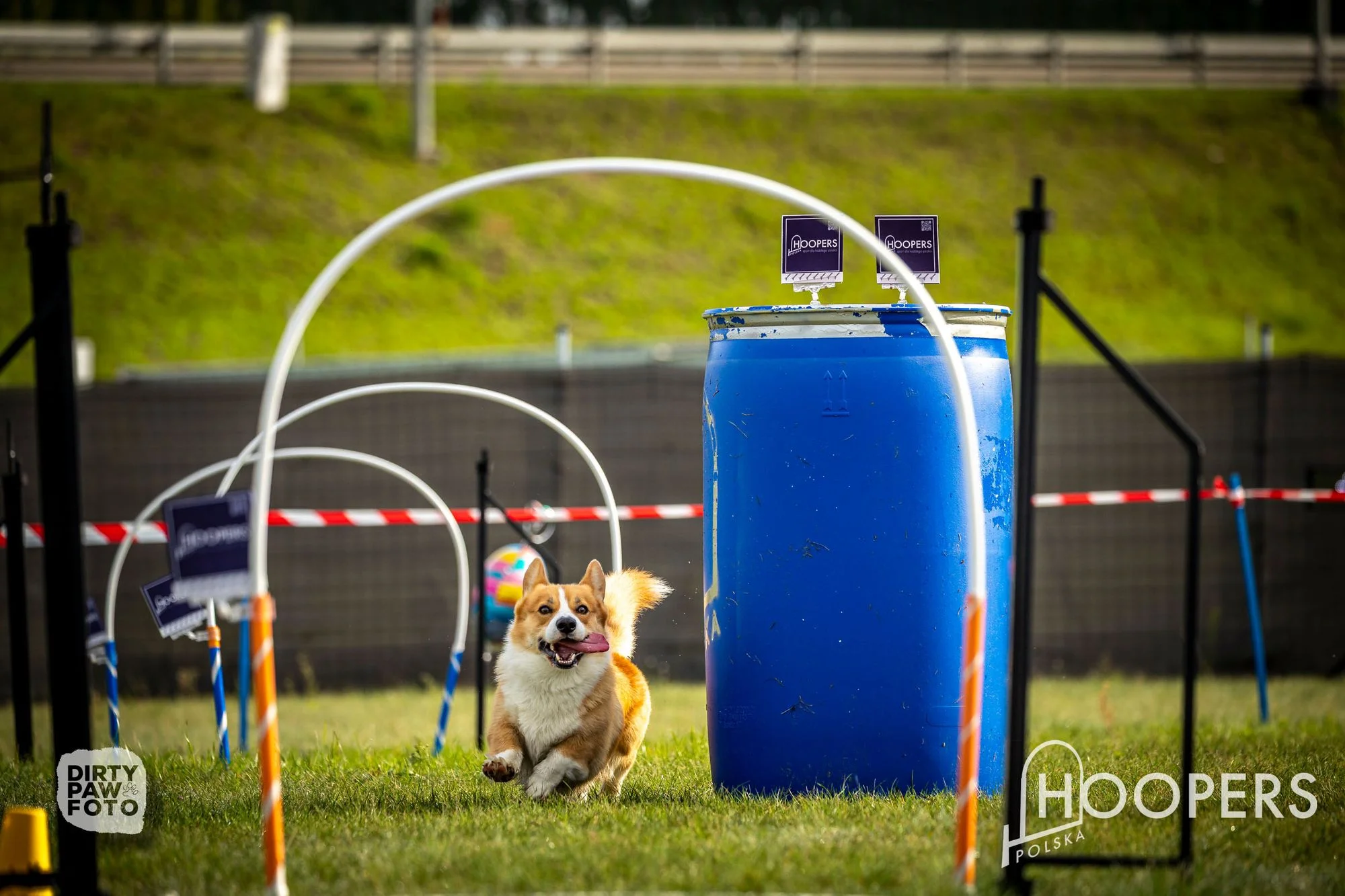 Zdjęcie klubu Hoopers Polska