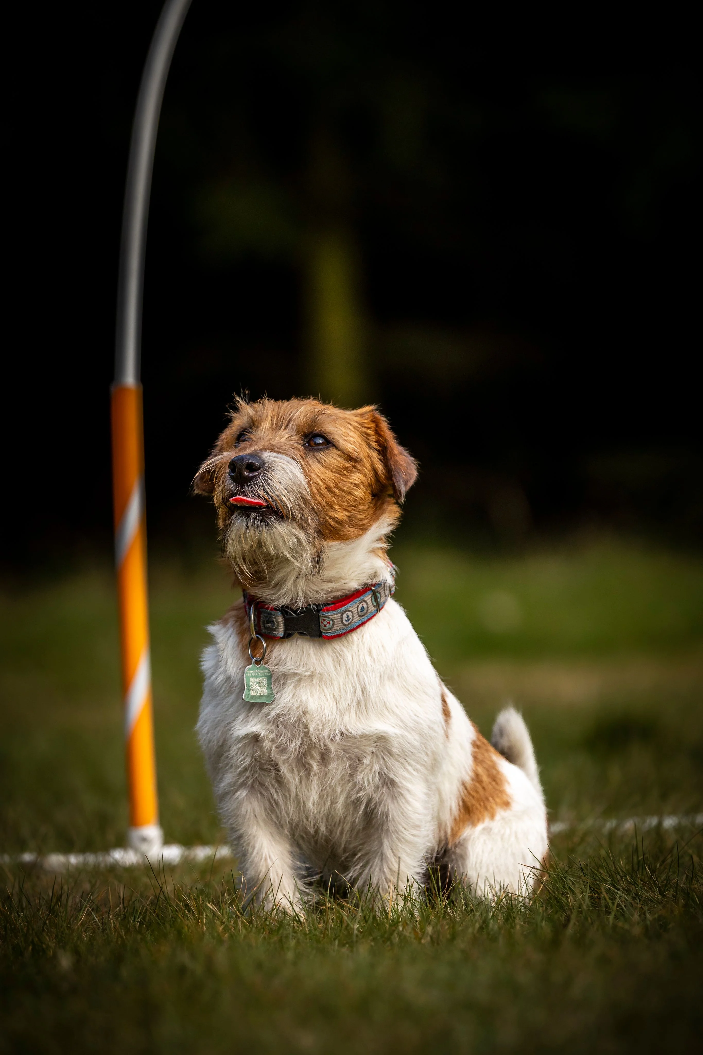 Zdjęcie klubu Hoopers Polska