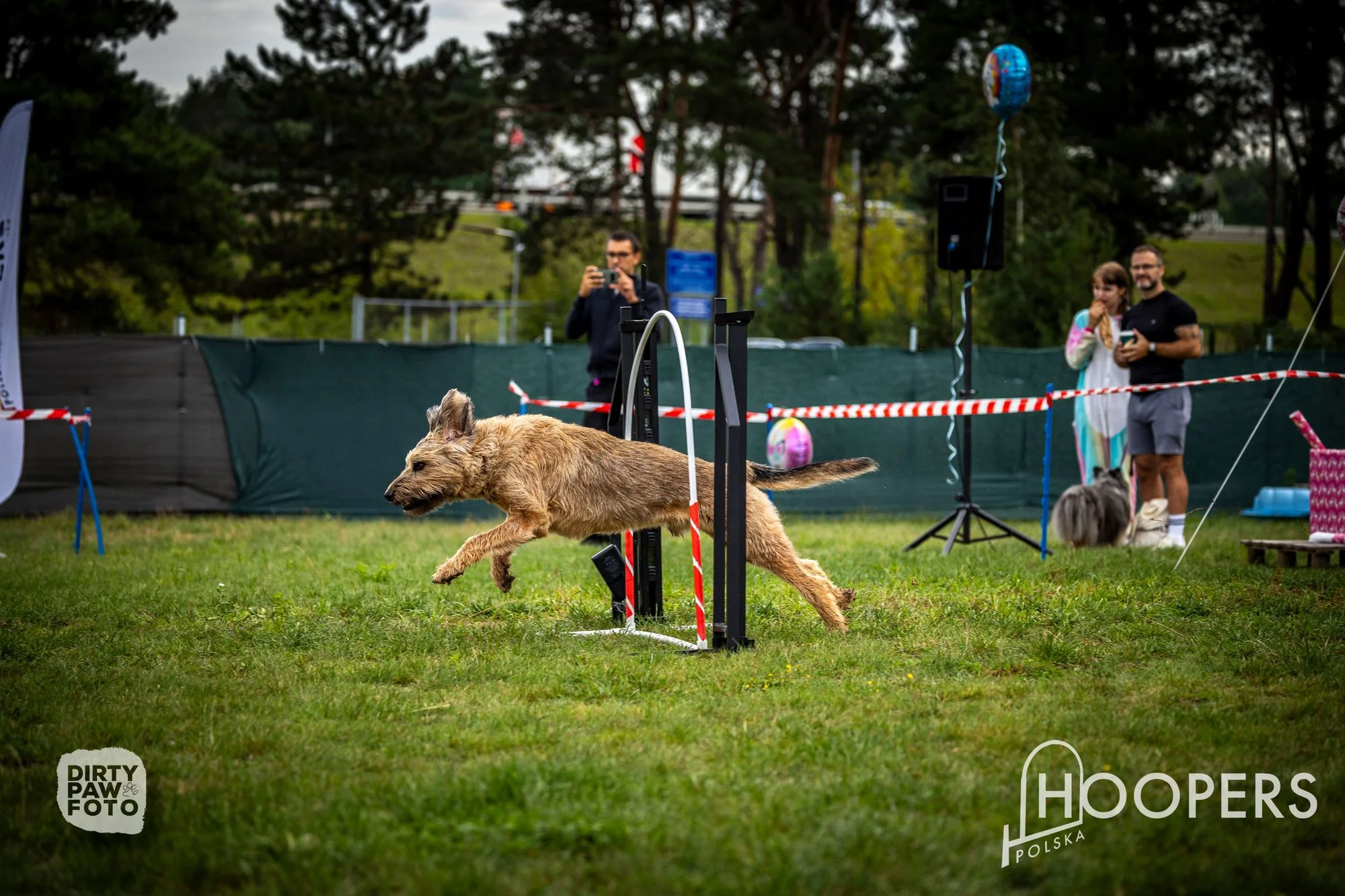 Zdjęcie klubu Hoopers Polska