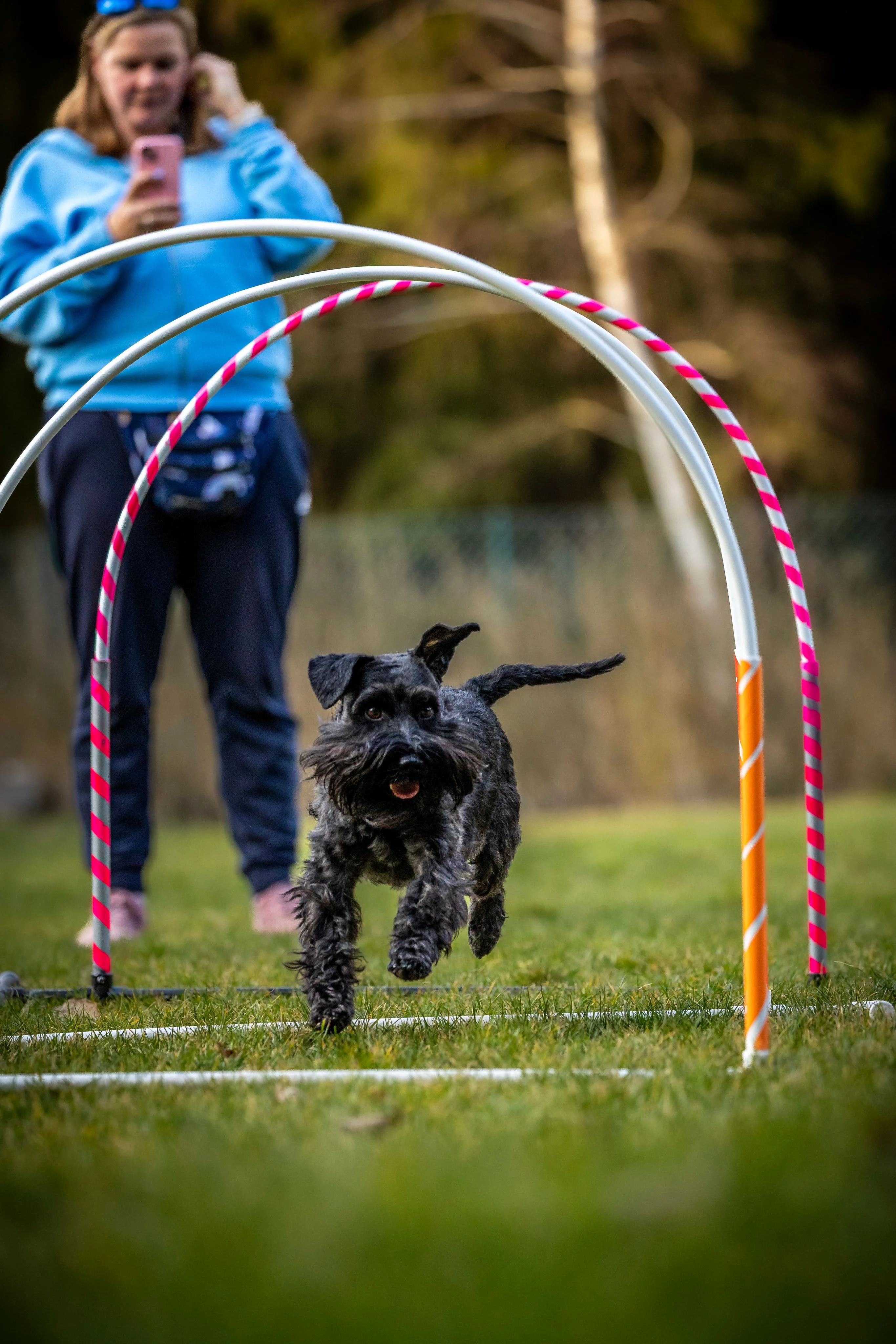 Zdjęcie klubu Hoopers Polska