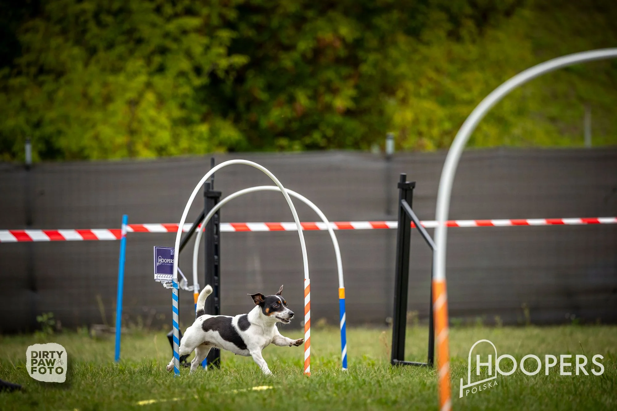 Zdjęcie klubu Hoopers Polska
