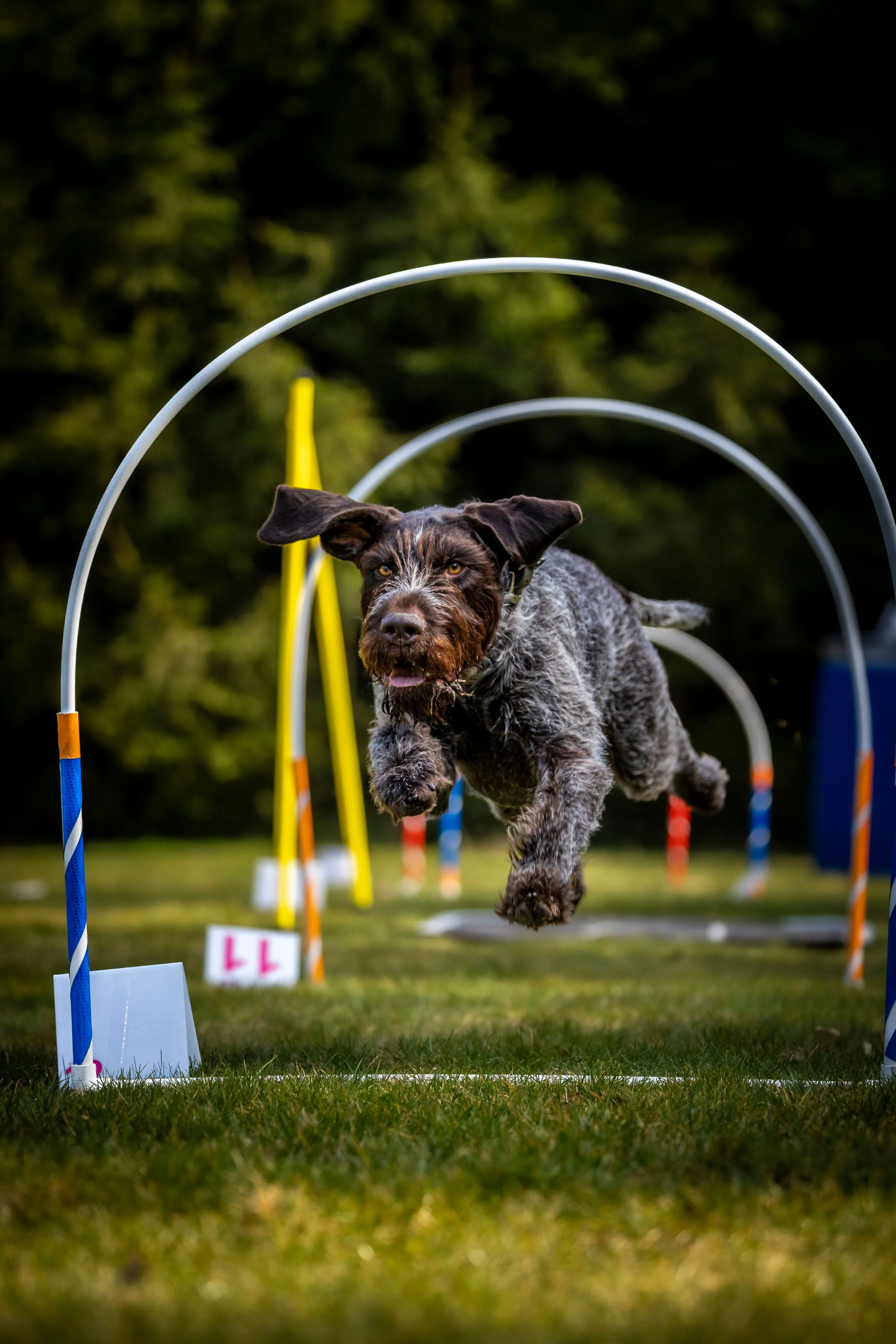 Zdjęcie klubu Hoopers Polska