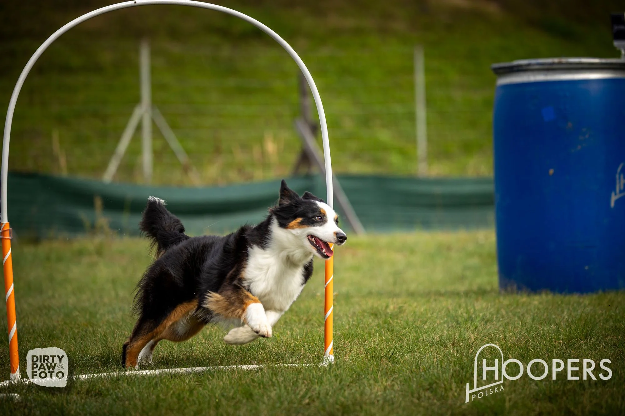 Zdjęcie klubu Hoopers Polska