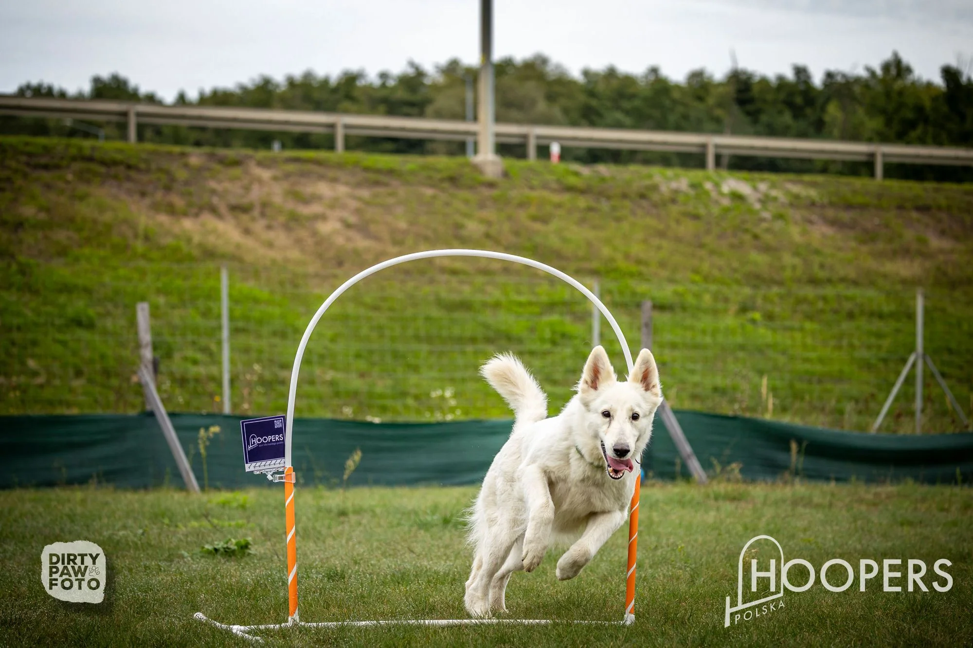 Zdjęcie klubu Hoopers Polska