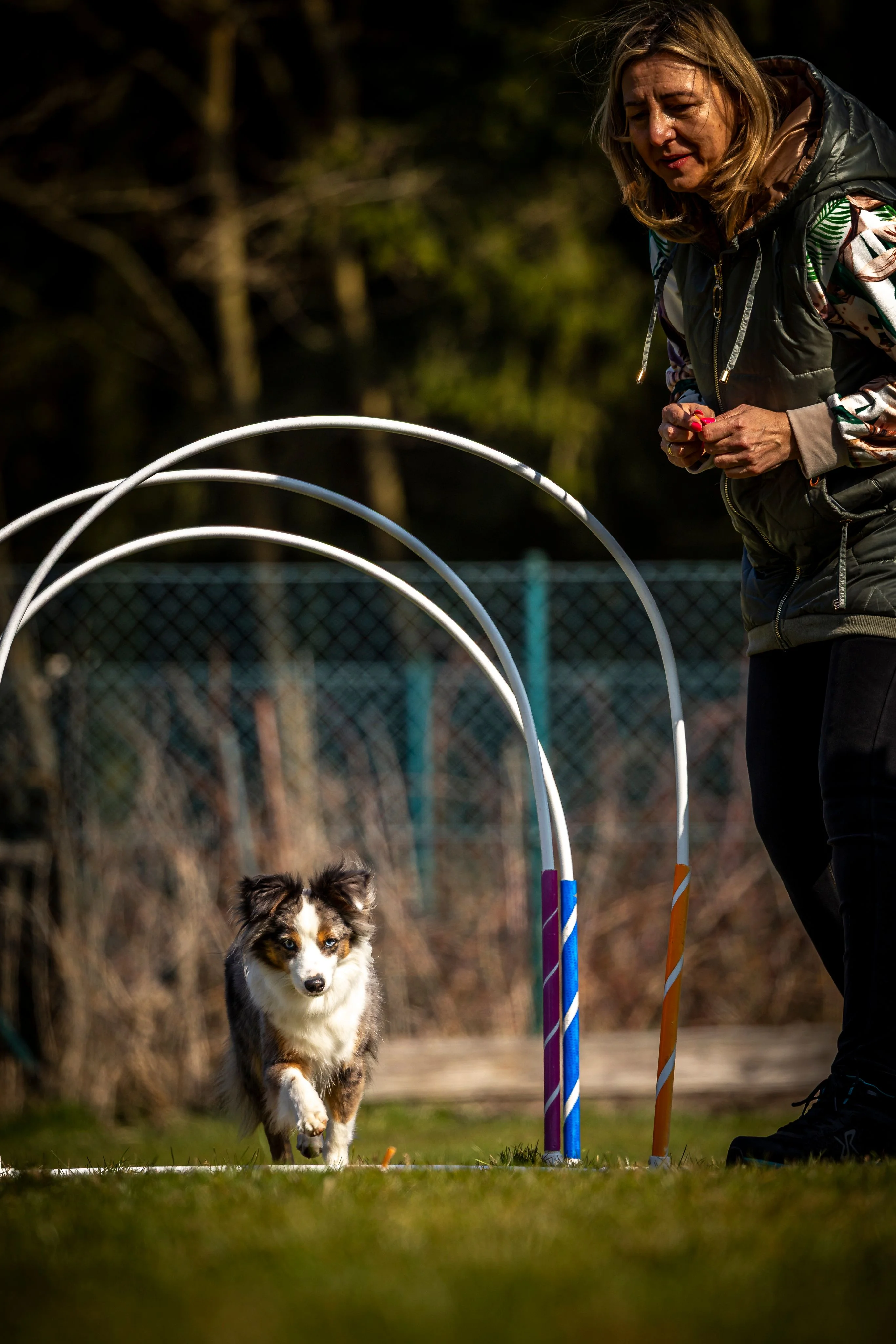 Zdjęcie klubu Hoopers Polska