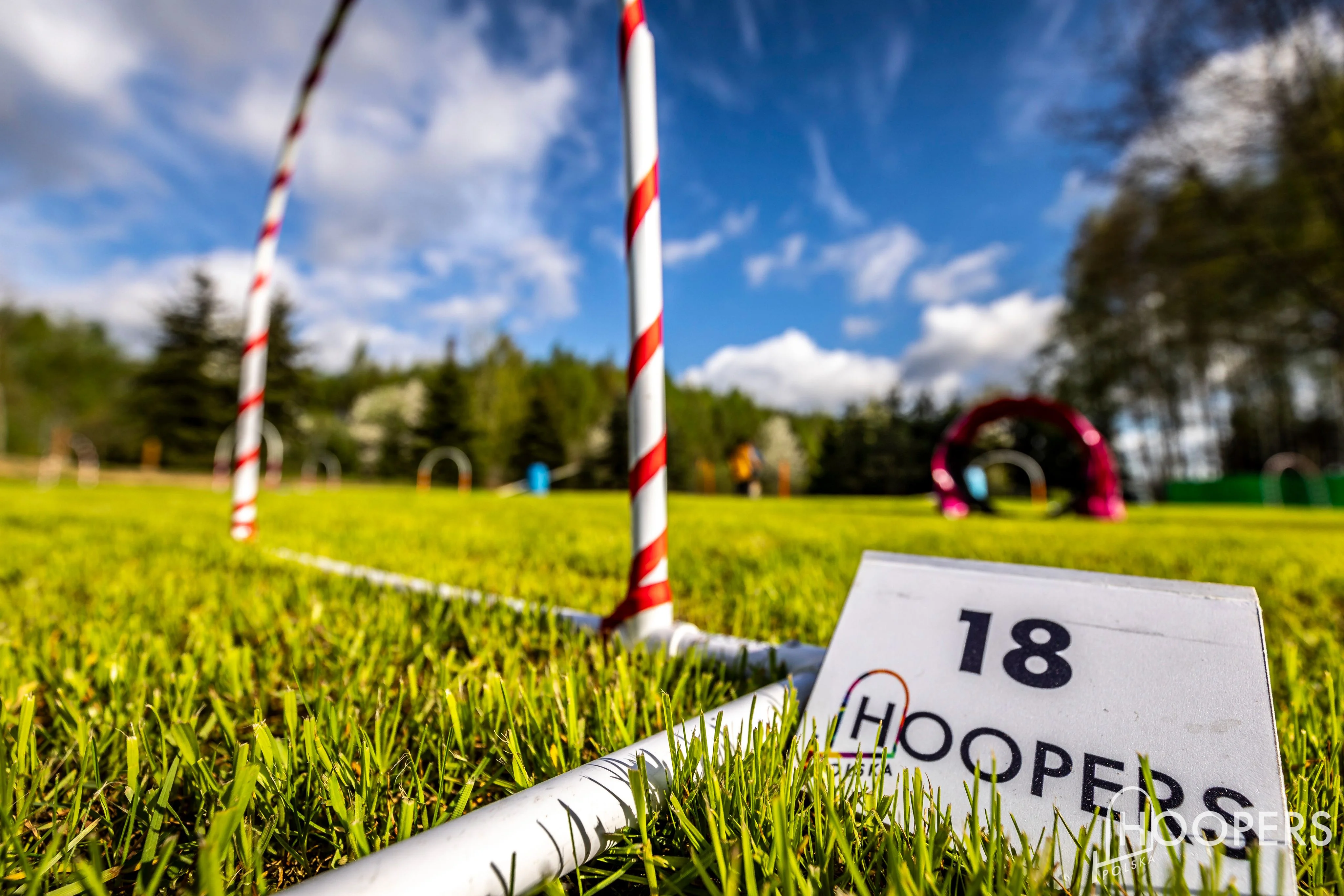 Zdjęcie klubu Hoopers Polska