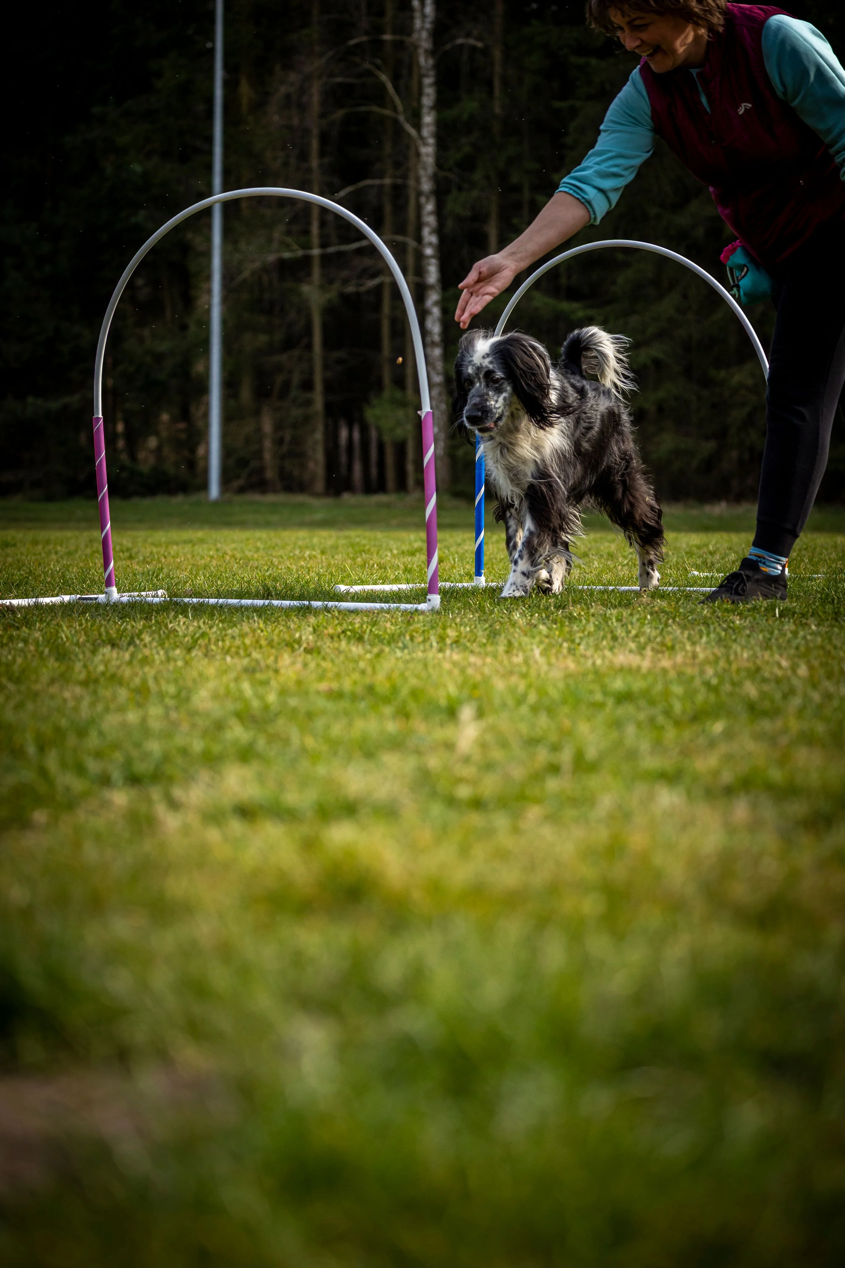 Zdjęcie klubu Hoopers Polska