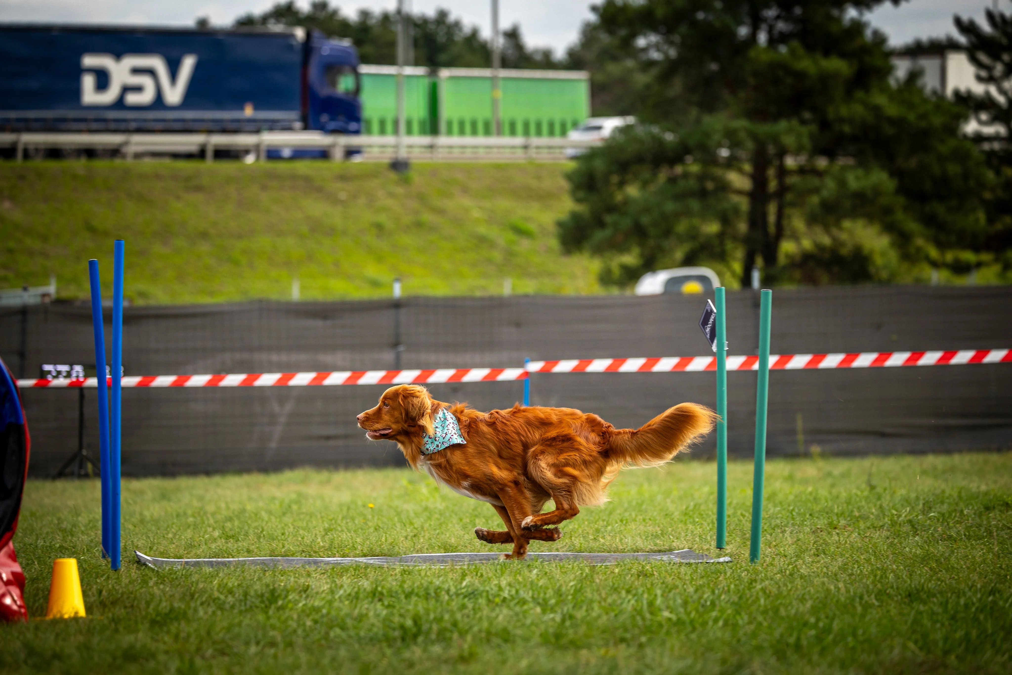 Zdjęcie klubu Hoopers Polska