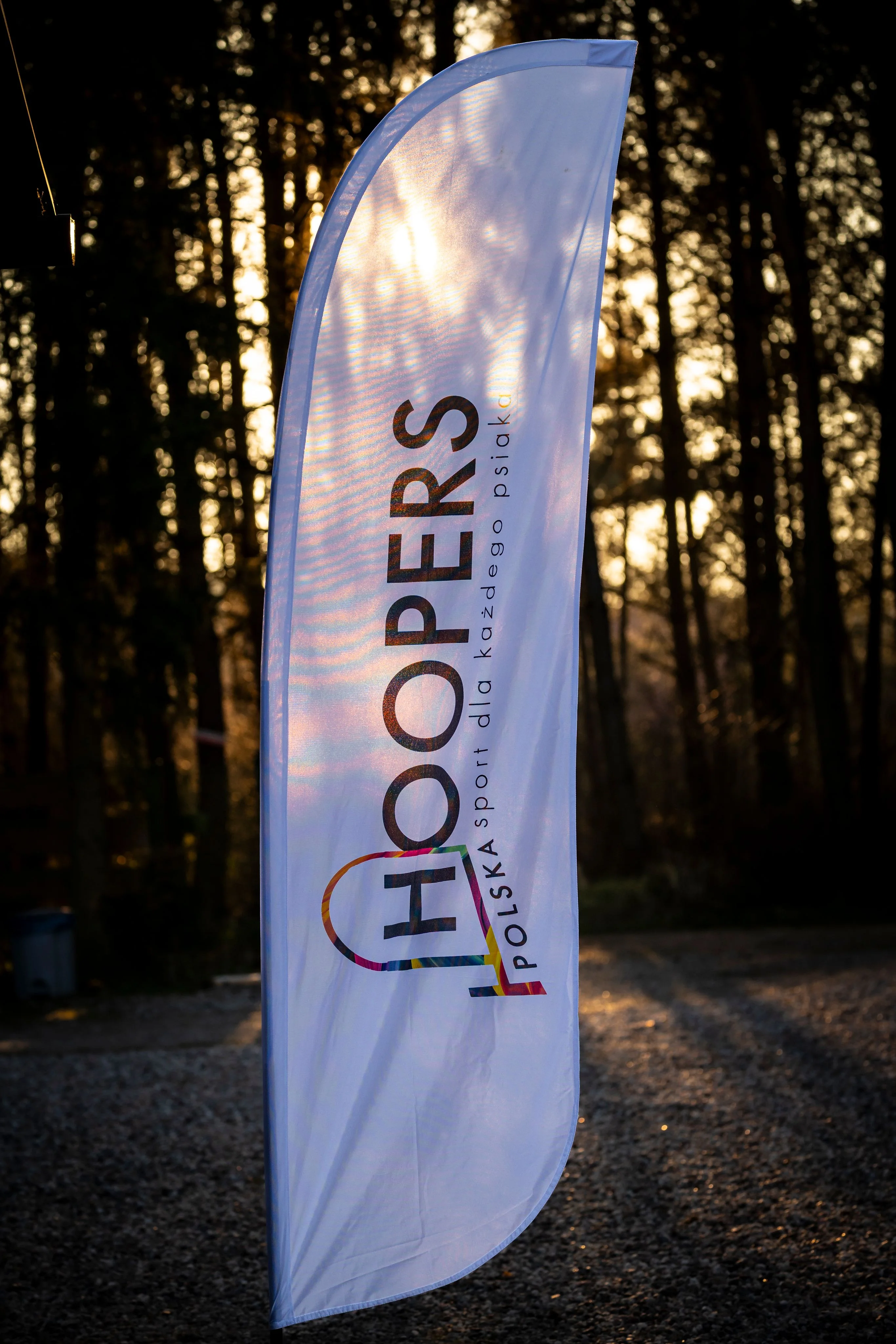 Zdjęcie klubu Hoopers Polska