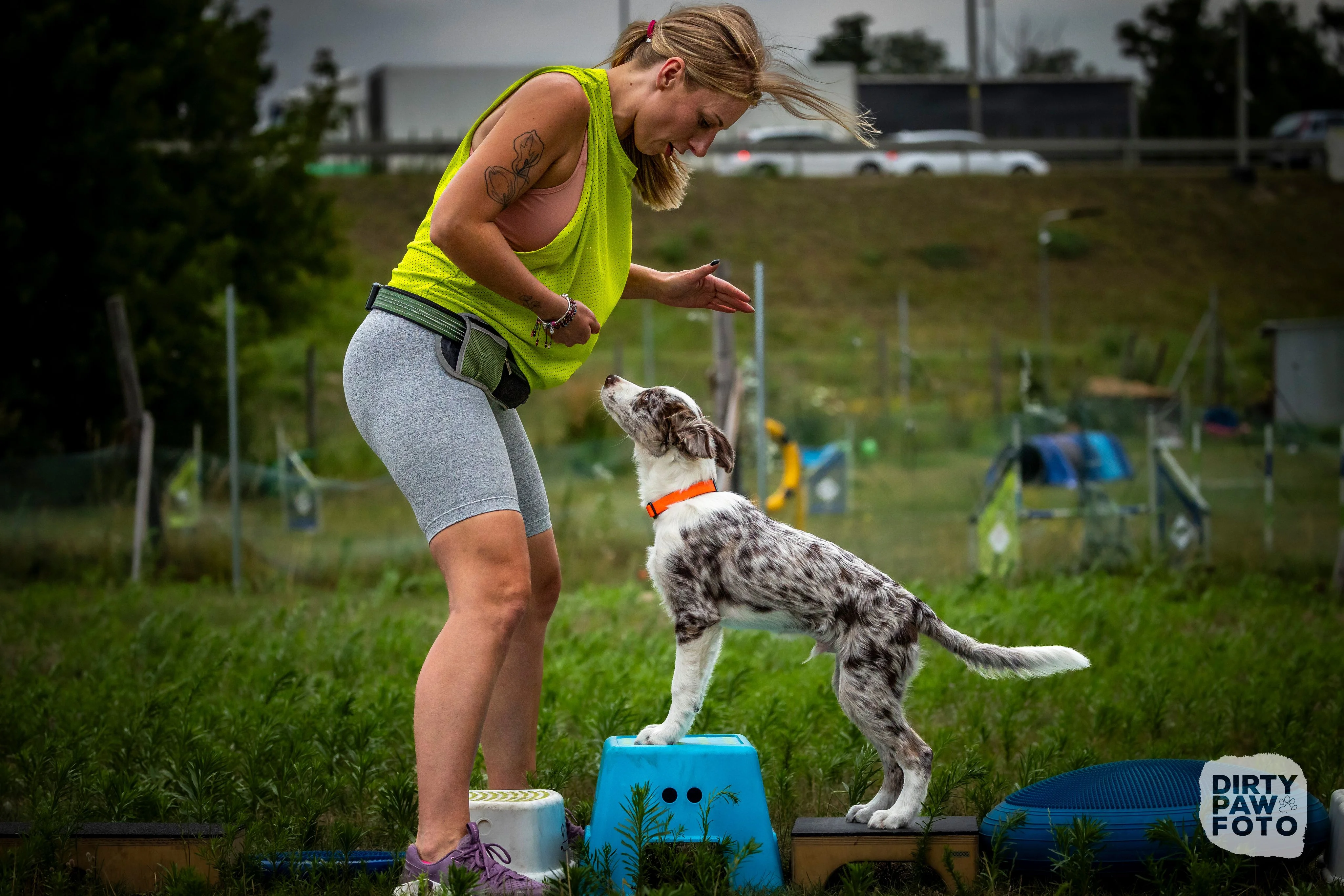 Zdjęcie klubu Psie Wałkowanie