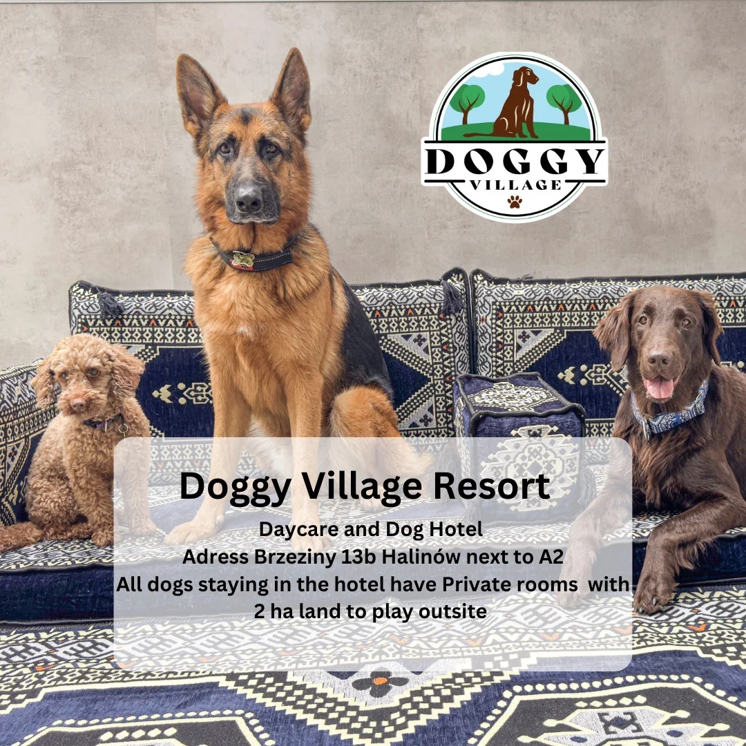 Zdjęcie klubu Doggy Village