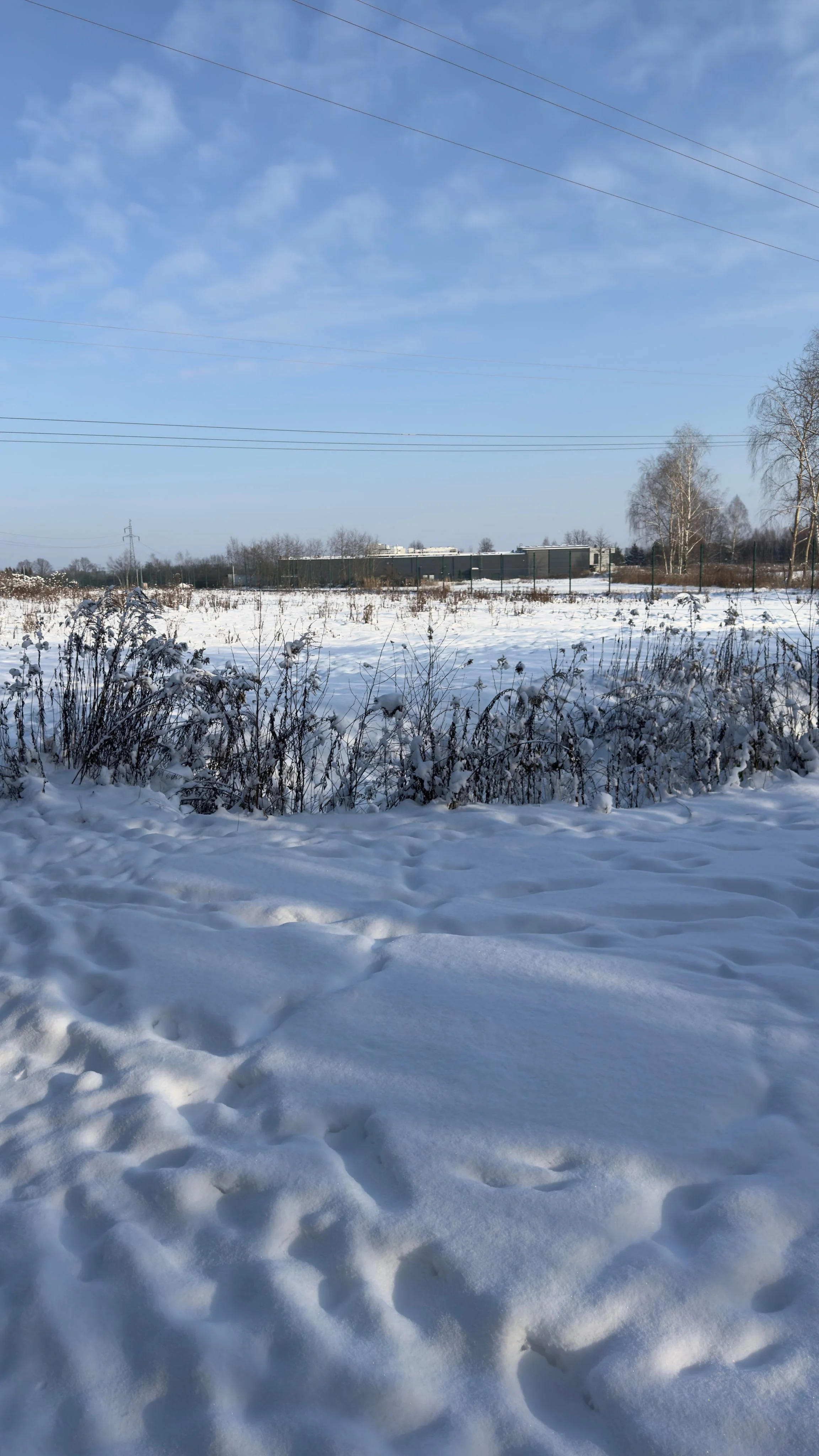 Zdjęcie klubu Doggy Village