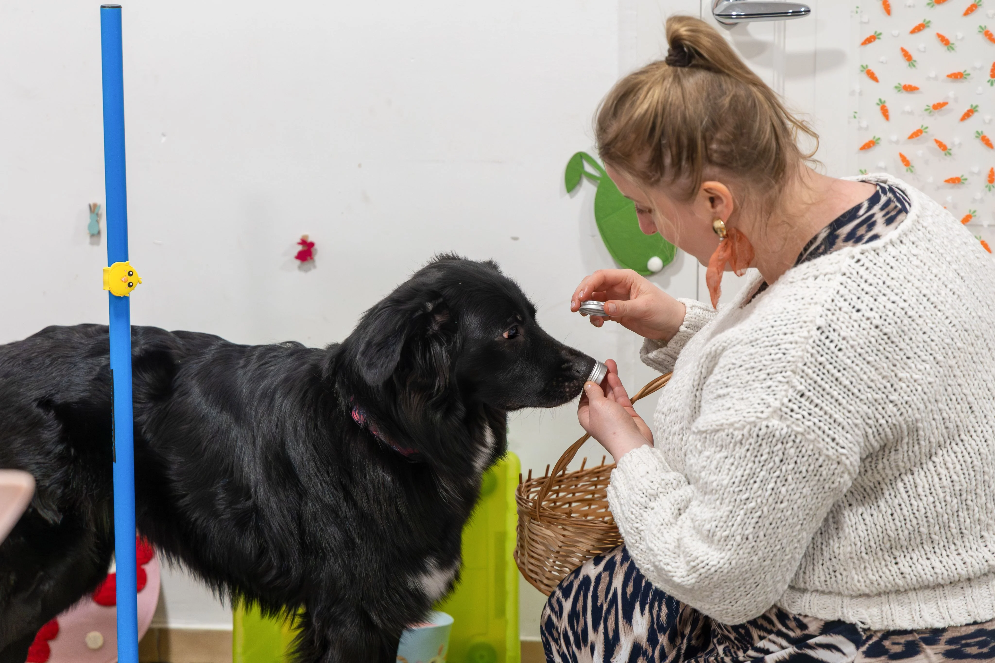 Zdjęcie klubu Pawspective Nosework Poznań 