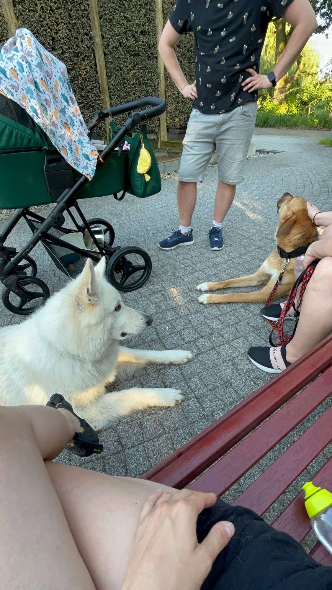 Przygotowanie do dziecka