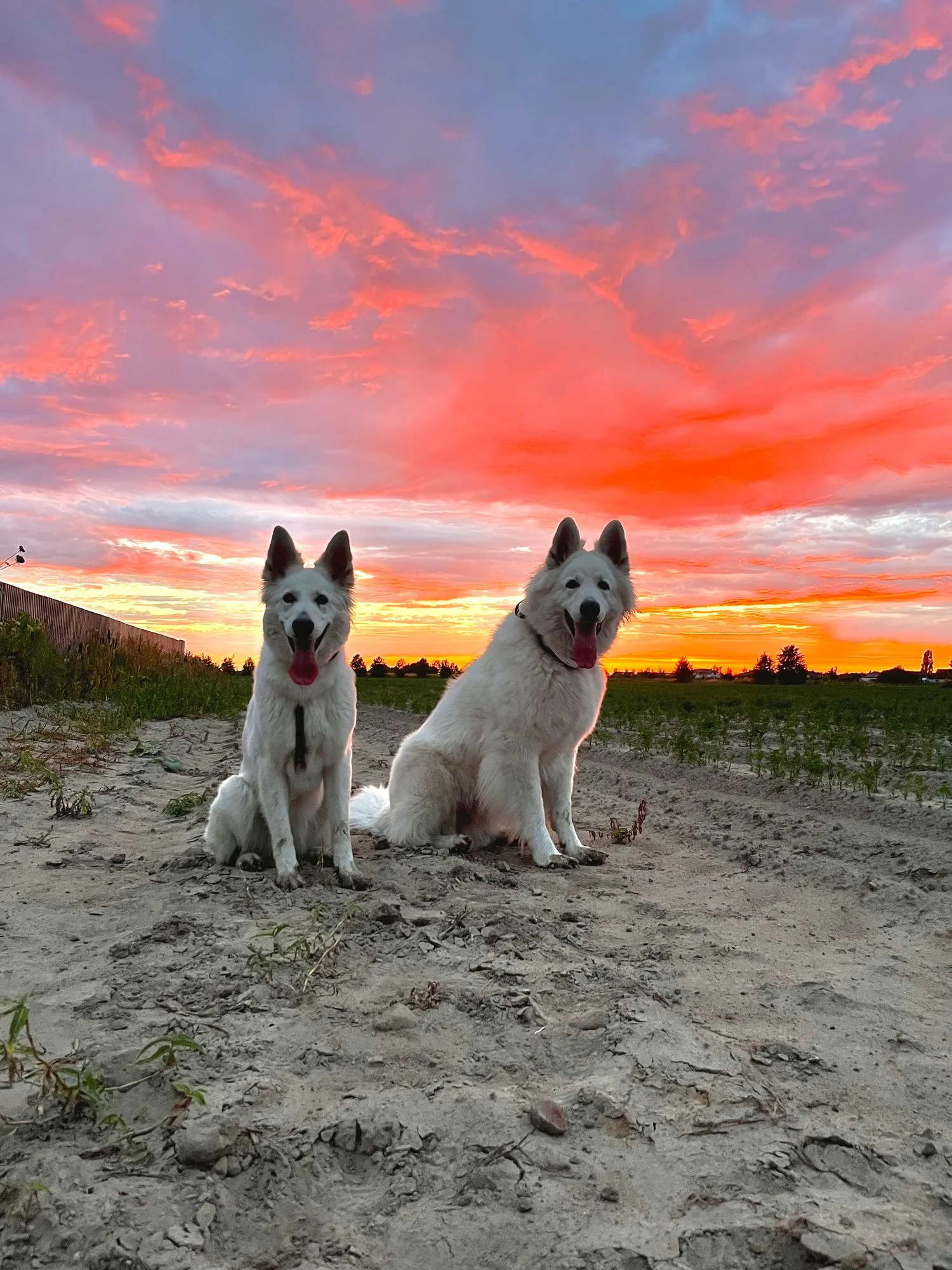 Treningi indywidualne 