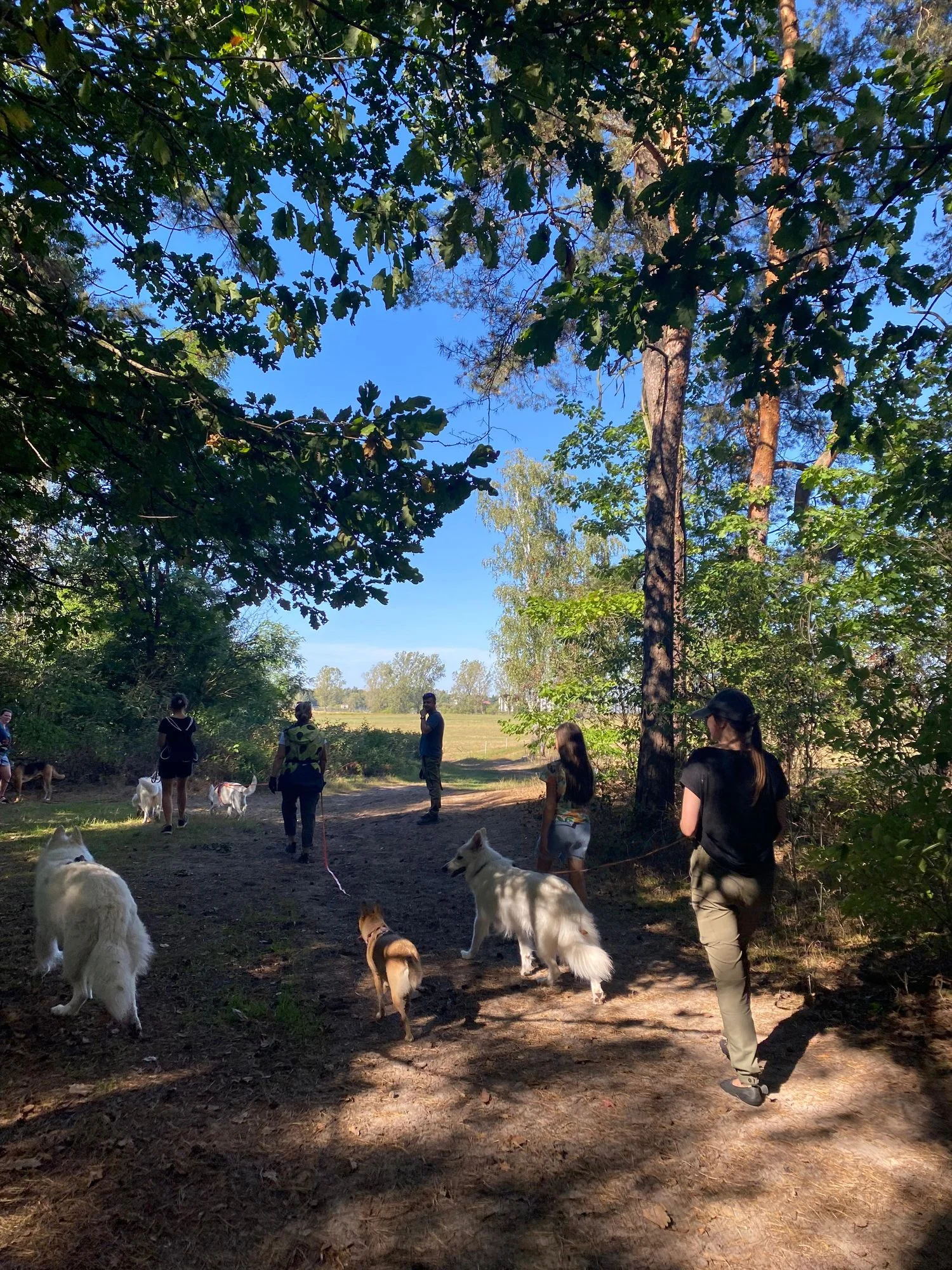 Spacery komunikacyjne