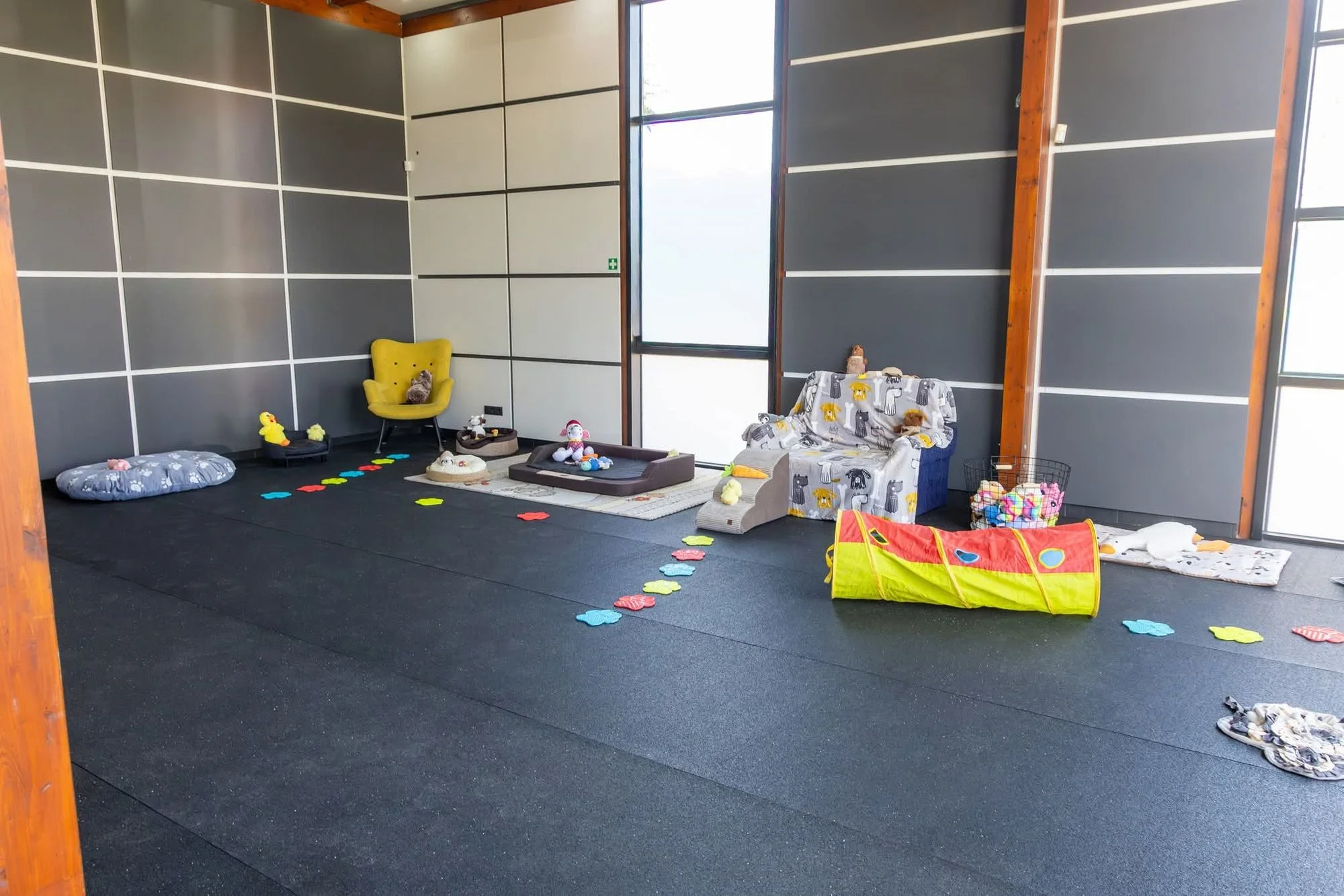 Zdjęcie klubu Strefa Łapy