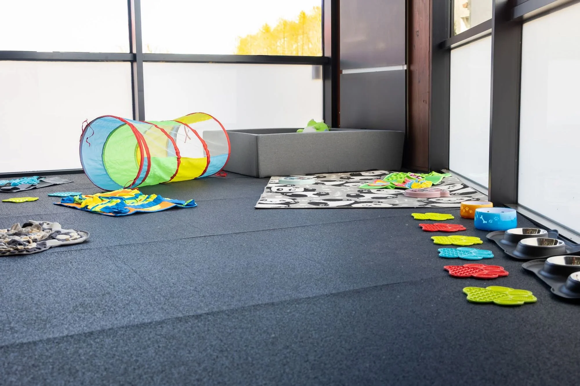 Zdjęcie klubu Strefa Łapy