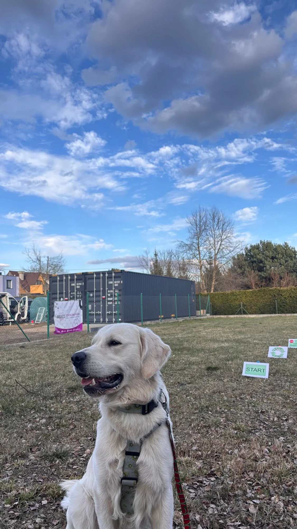 Zdjęcie klubu Dogress