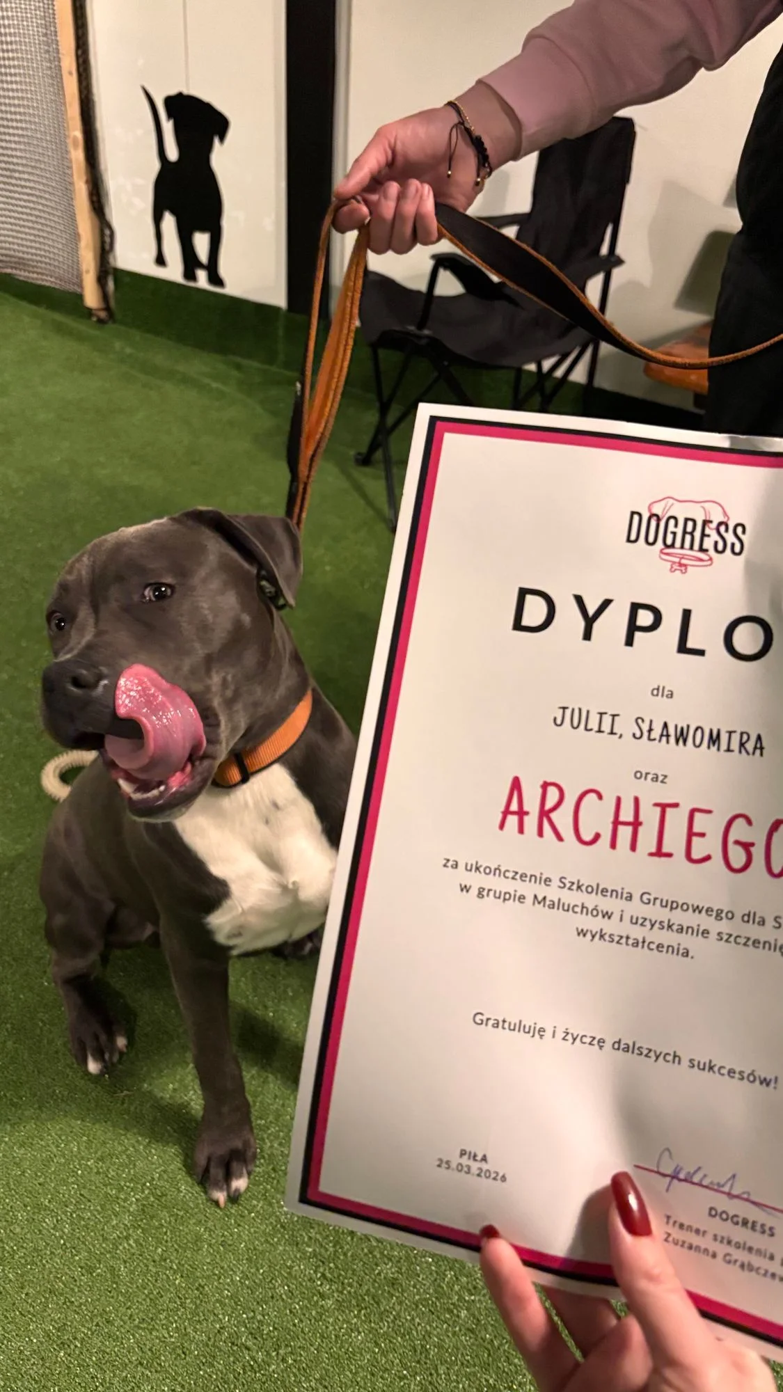 Zdjęcie klubu Dogress