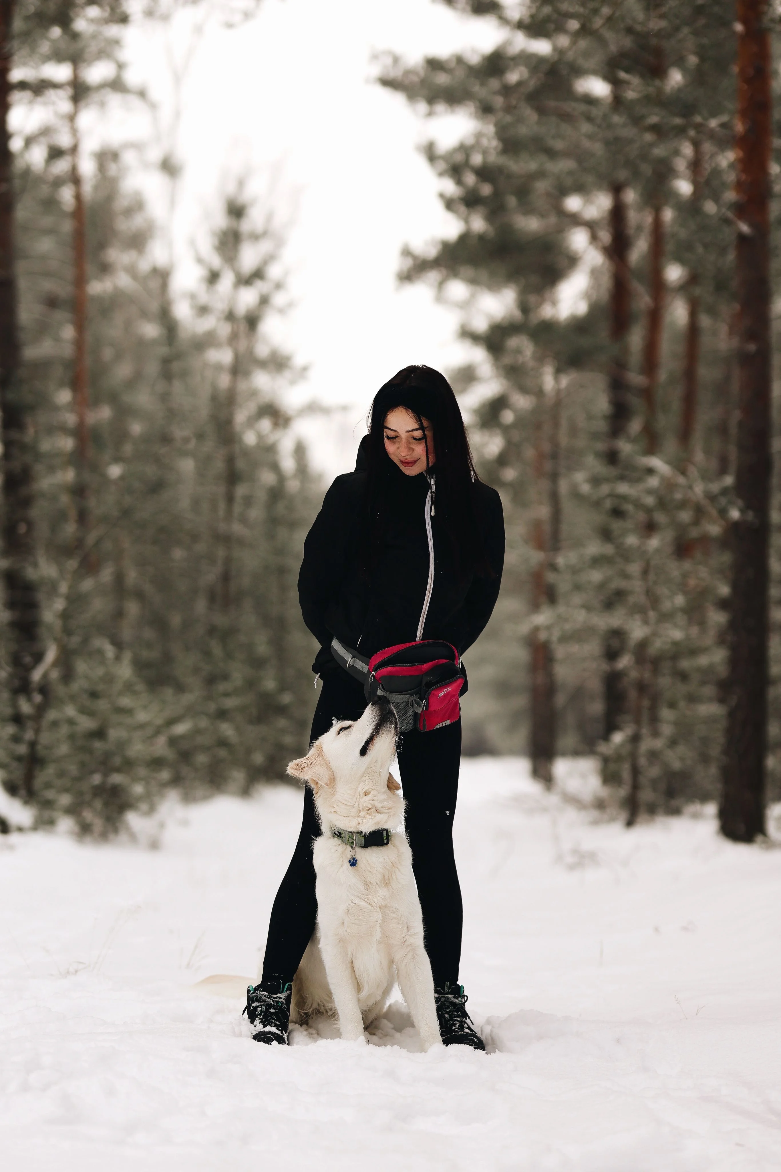 Zdjęcie klubu Dogress