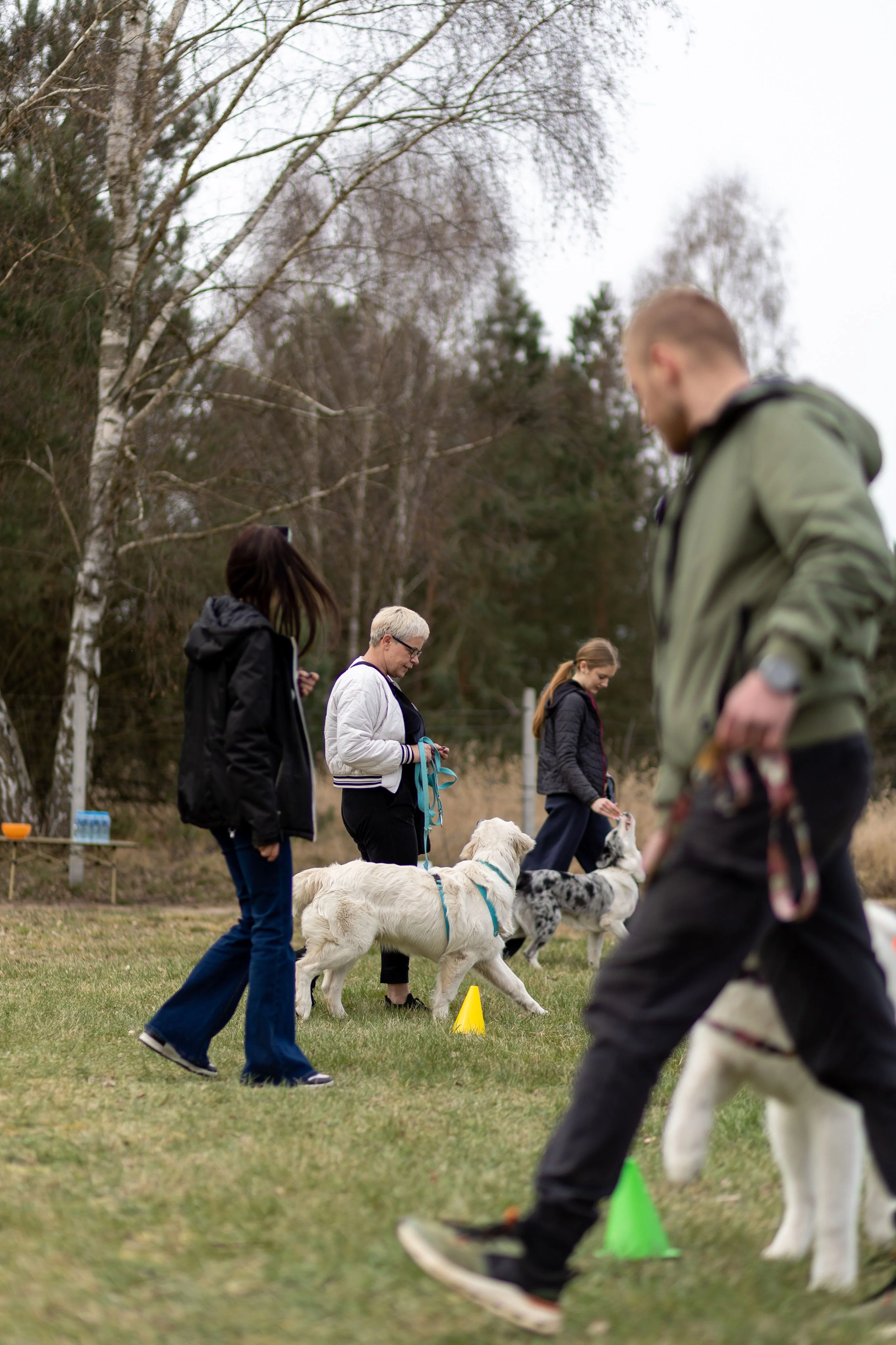 Zdjęcie klubu Dogress