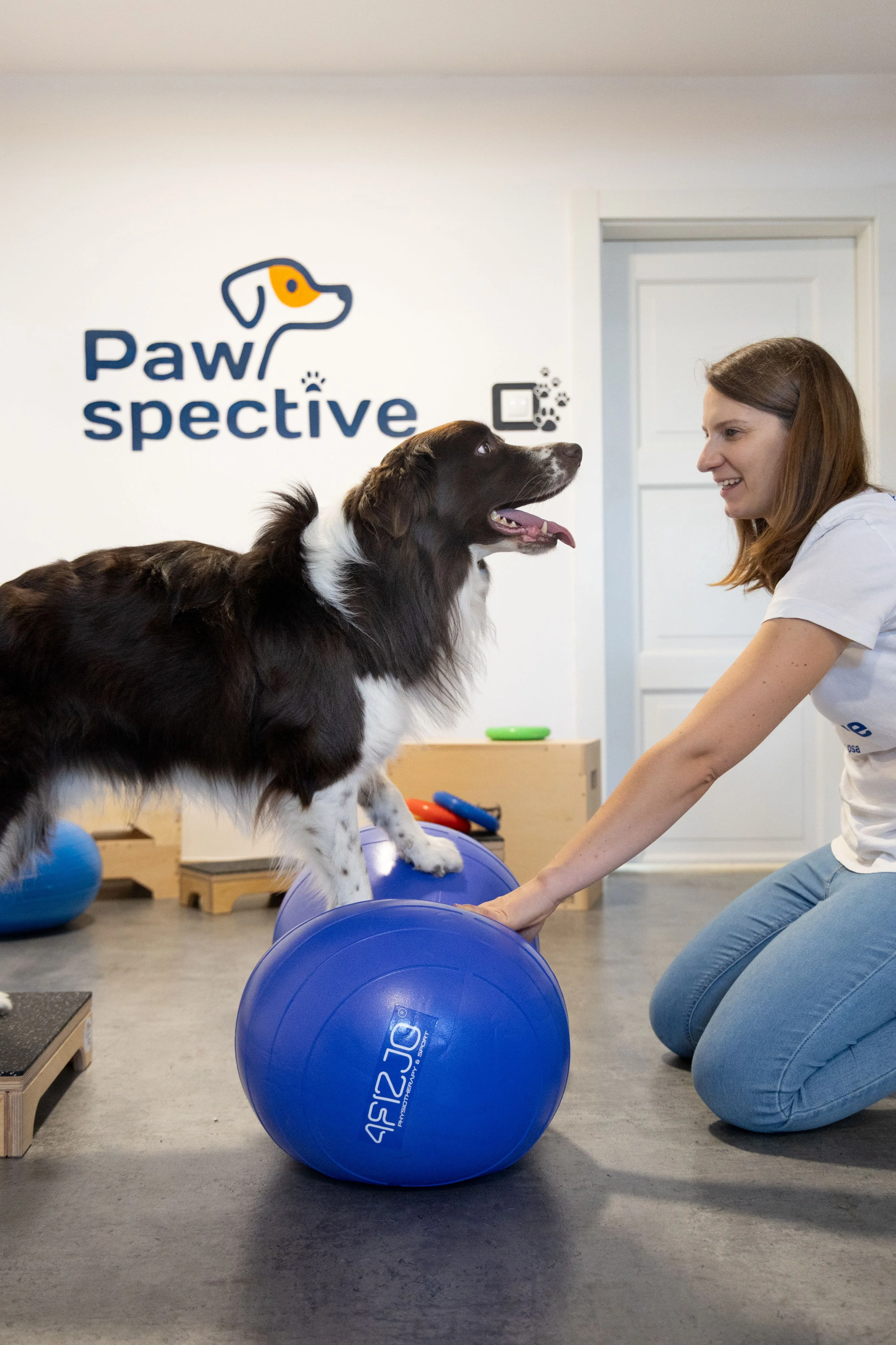 Zdjęcie klubu Pawspective Nosework Poznań 
