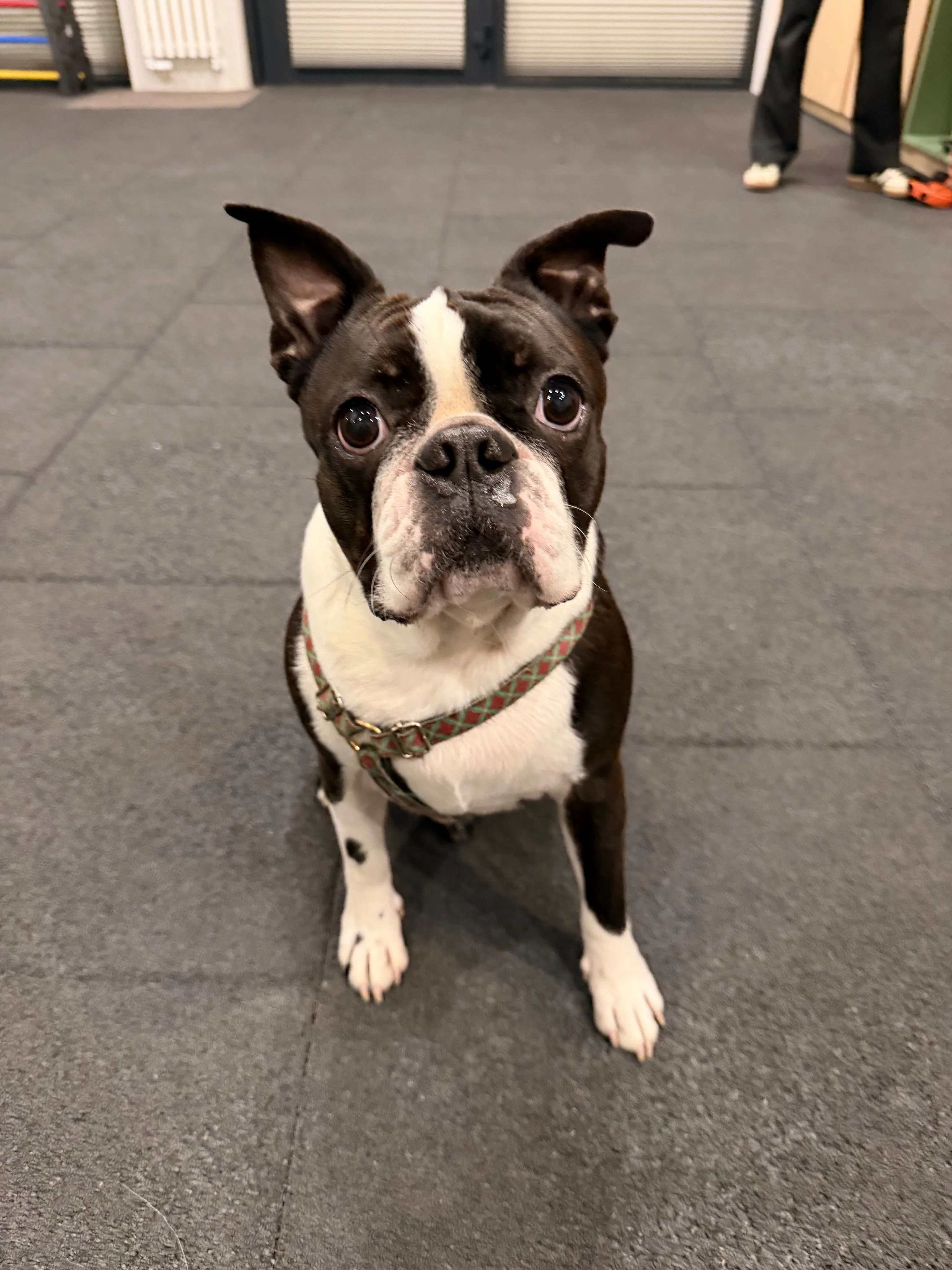 Walter