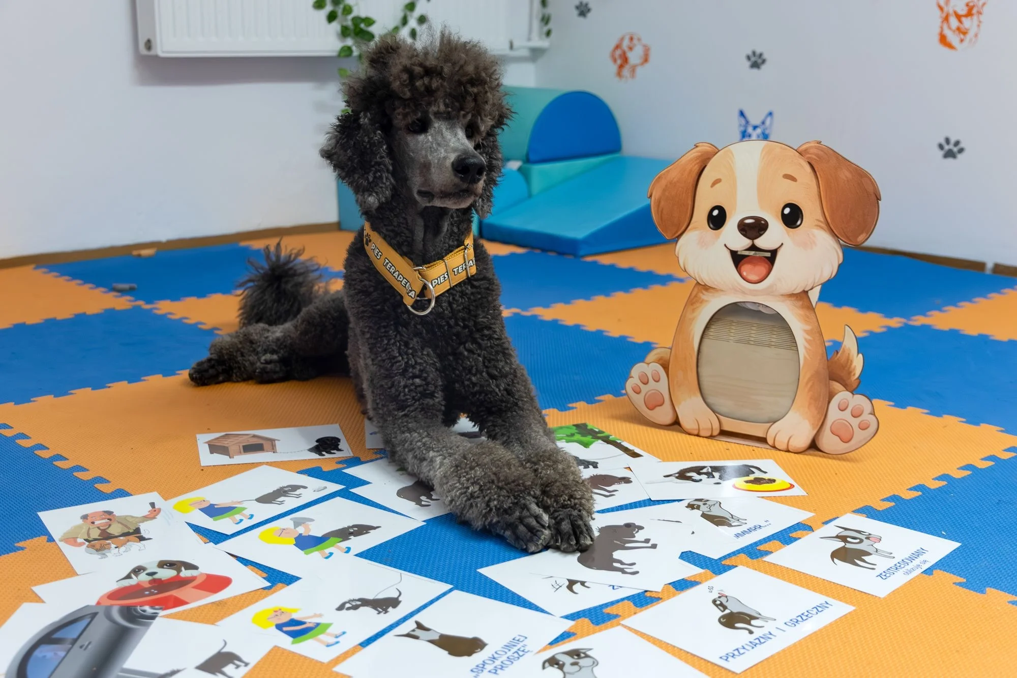 Dogoterapia 
