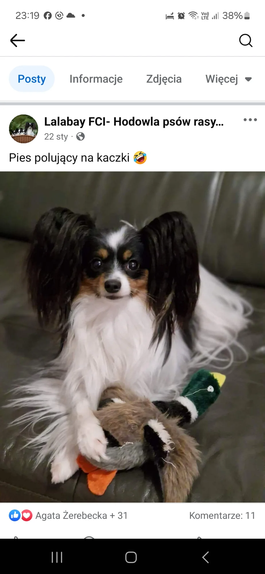 Livia