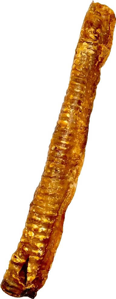 TCHAWICA JAGNIĘCA - Gryzaki naturalne